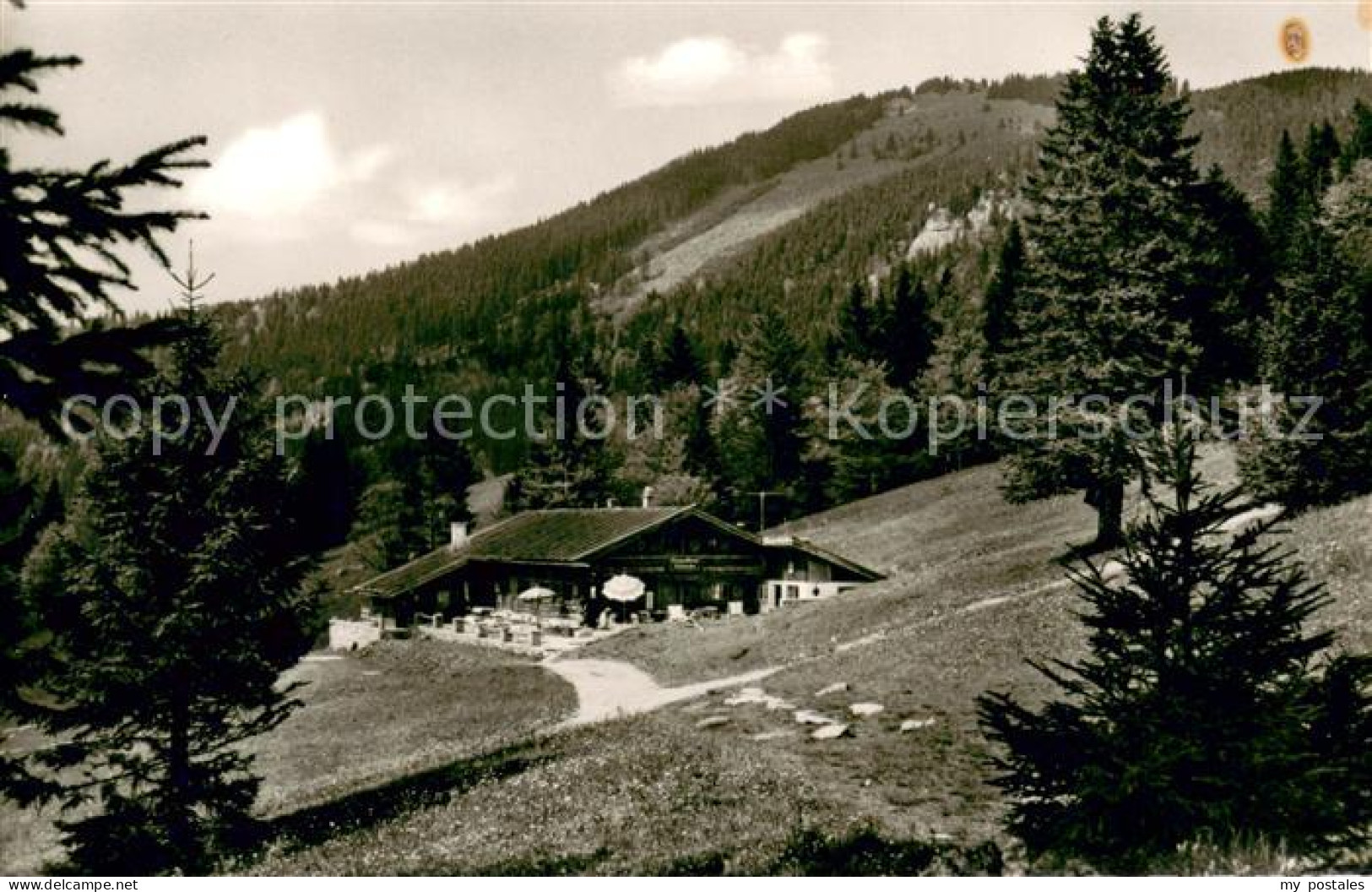 73645688 Rottach-Egern Berggasthaus Baeckeralm Rottach-Egern - Sonstige & Ohne Zuordnung