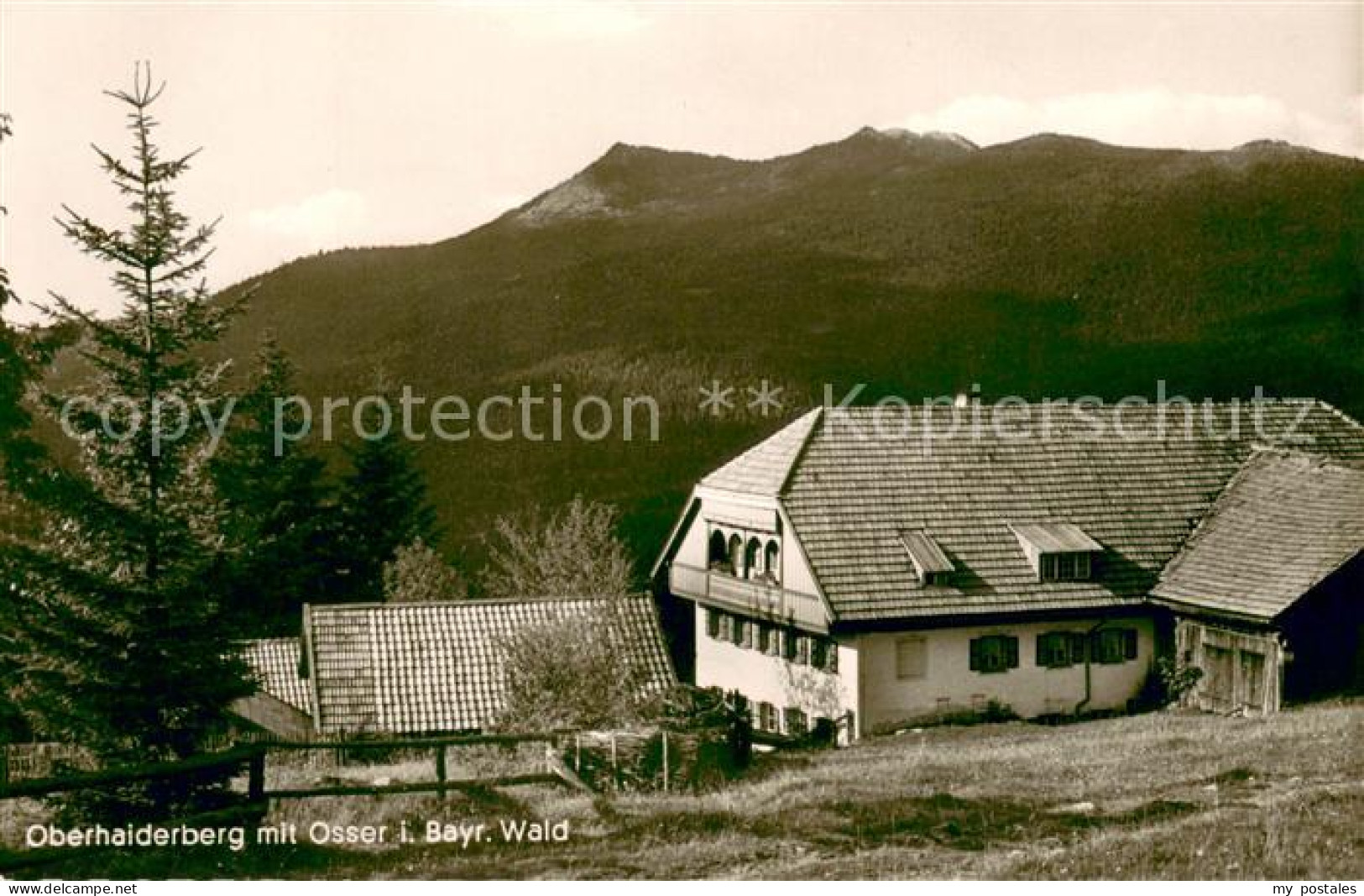 73645662 Oberhaiderberg Pension Pfeffer Mit Blick Zum Osser Bayerischer Wald Obe - Altri & Non Classificati