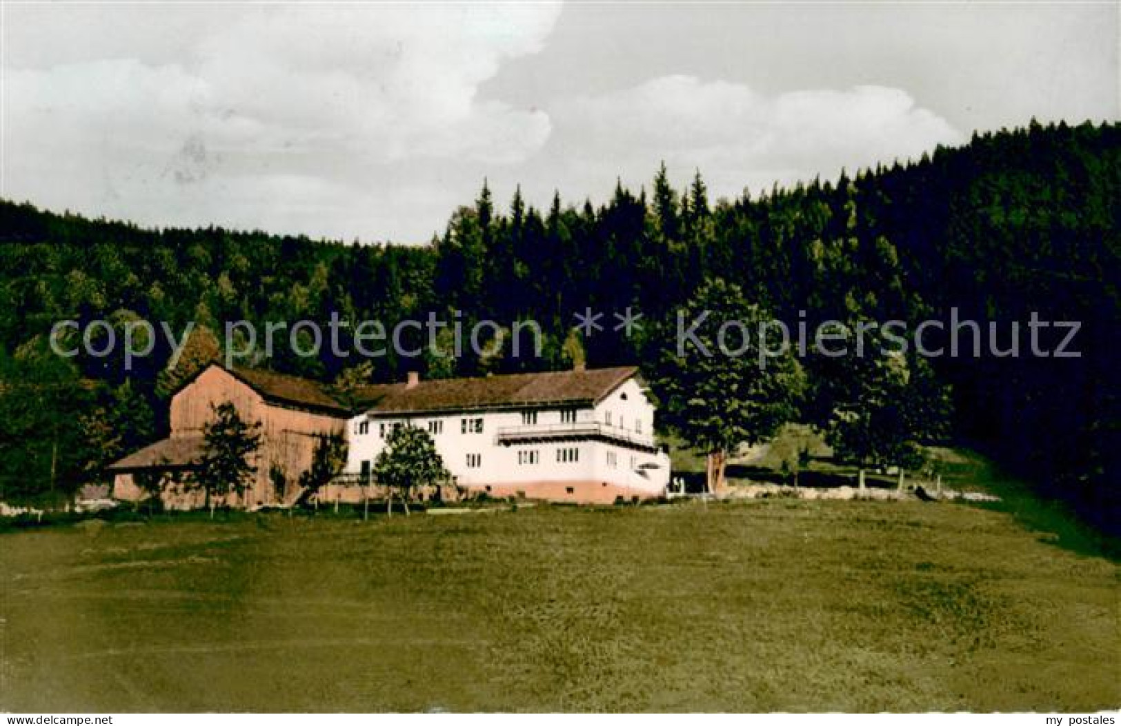 73645658 Oberried Bischofsmais Pension Riedlberg Im Bayerischen Wald Oberried Bi - Altri & Non Classificati