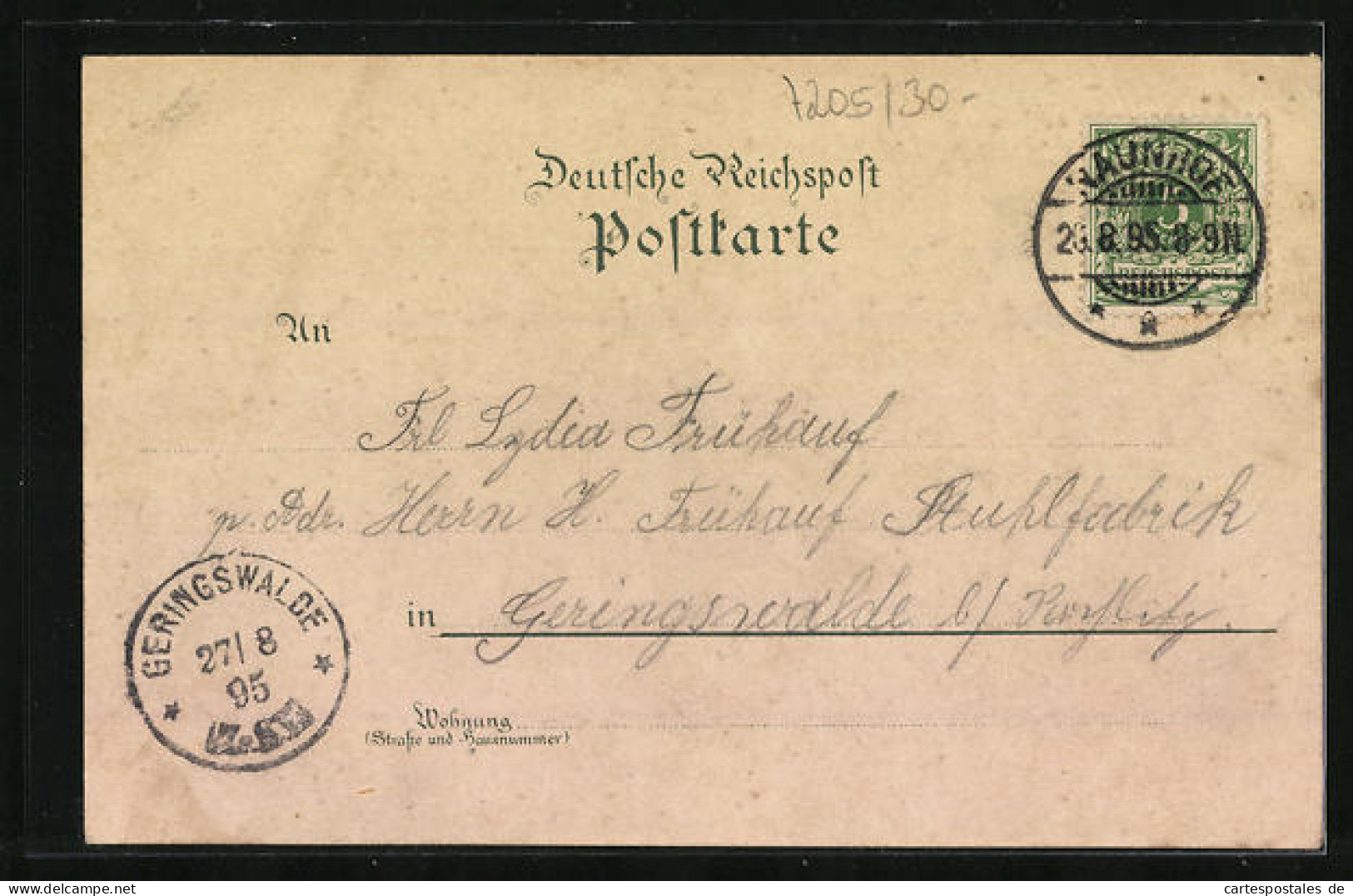 Vorläufer-Lithographie Naunhof, 1895, Gast- Und Logierhaus Mühle Lindhardt, Garten, Eingang  - Naunhof
