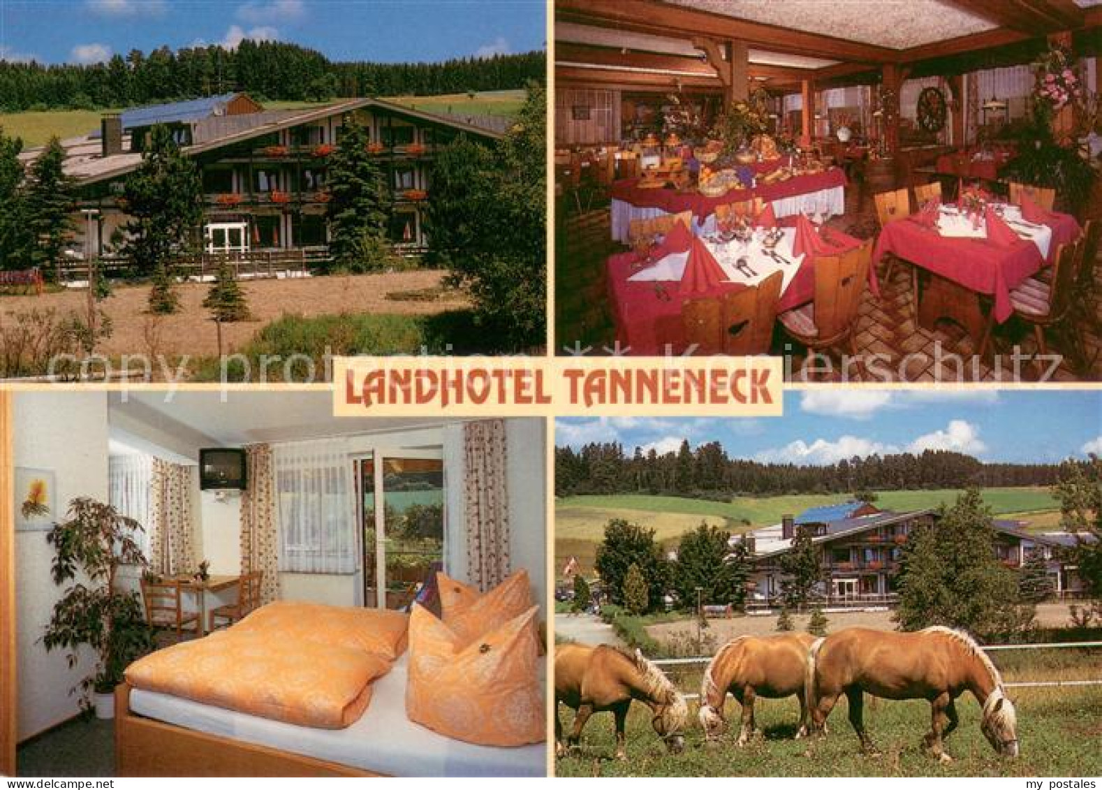 73645059 Dittishausen Landhotel Tanneneck Gaststube Zimmer Pferdekoppel Dittisha - Autres & Non Classés