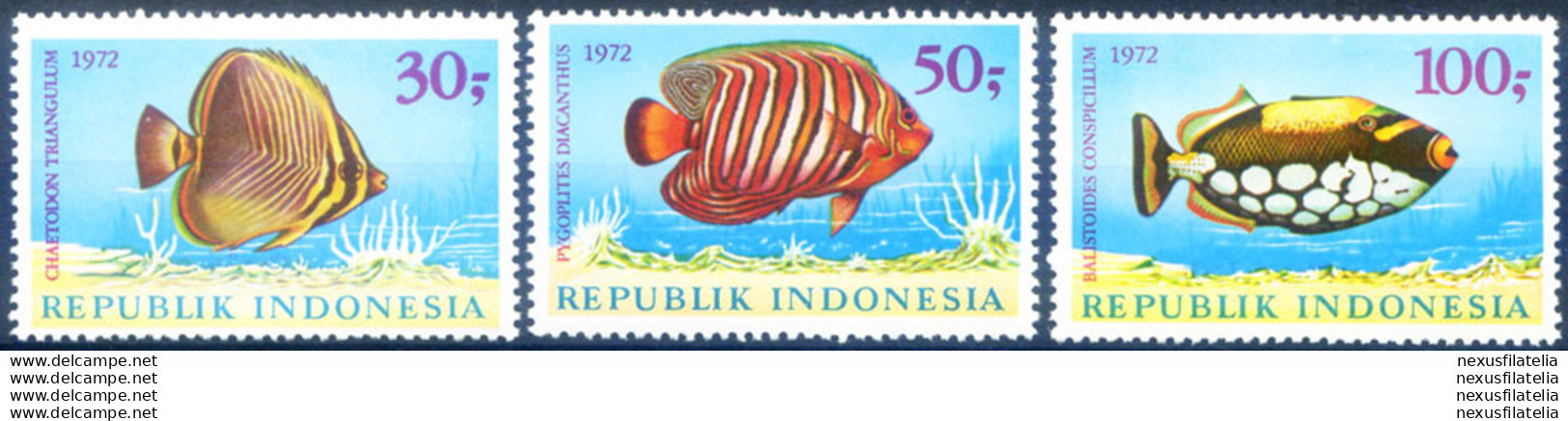 Fauna. Pesci 1972. - Indonesië