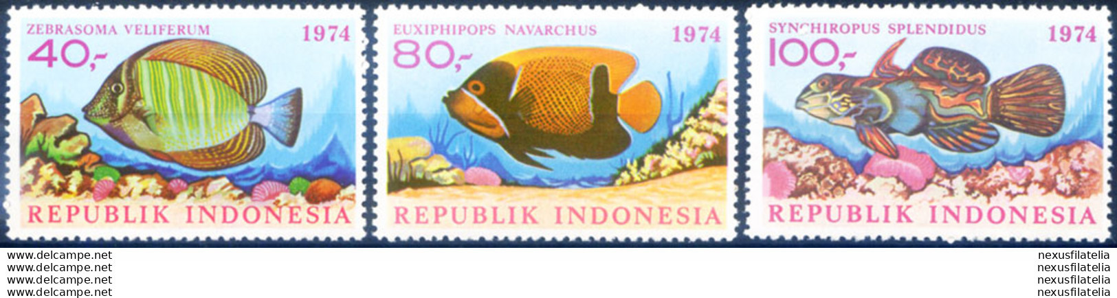 Fauna. Pesci 1974. - Indonesië