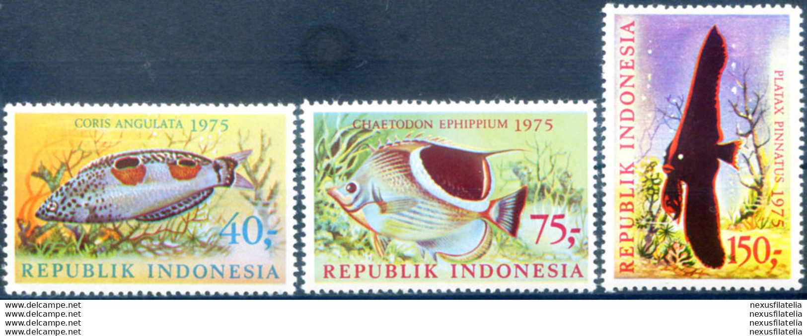 Fauna. Pesci 1975. - Indonesien
