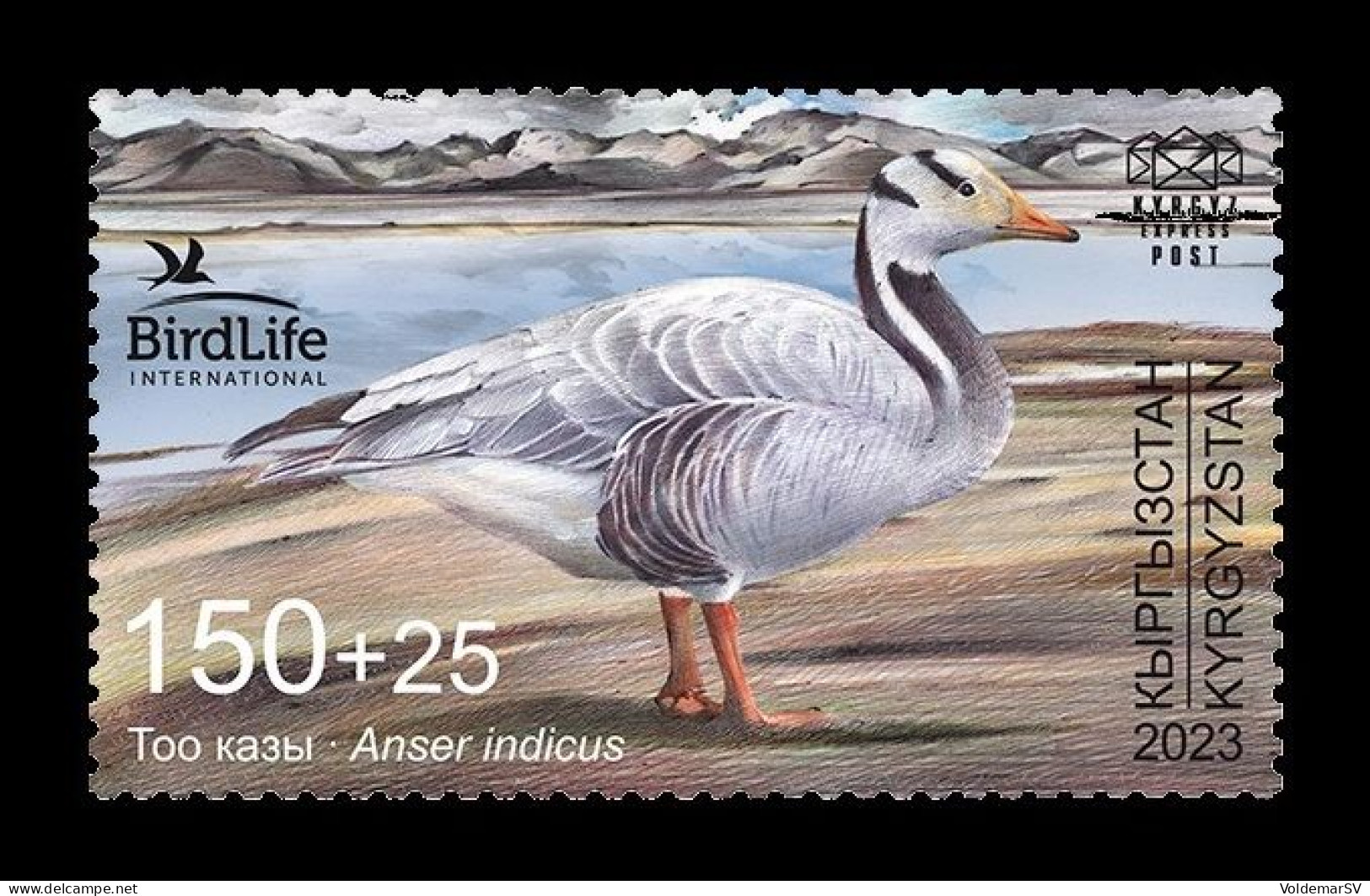Kyrgyzstan (KEP) 2024 Mih. 217 Fauna. Bird Of The Year. Bar-Headed Goose MNH ** - Kirgisistan