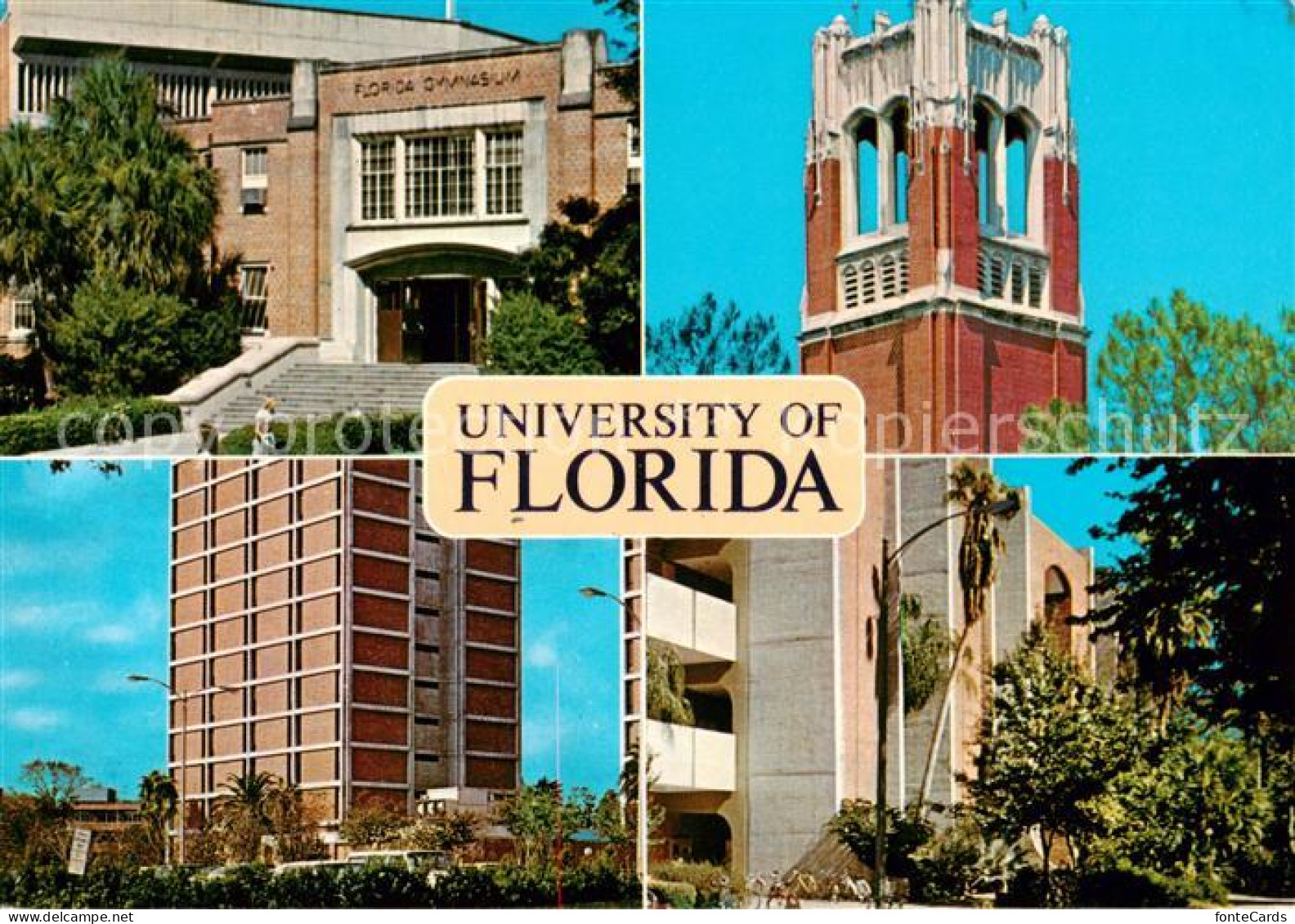 73804302 Gainesville_Florida University Of Florida Details - Autres & Non Classés