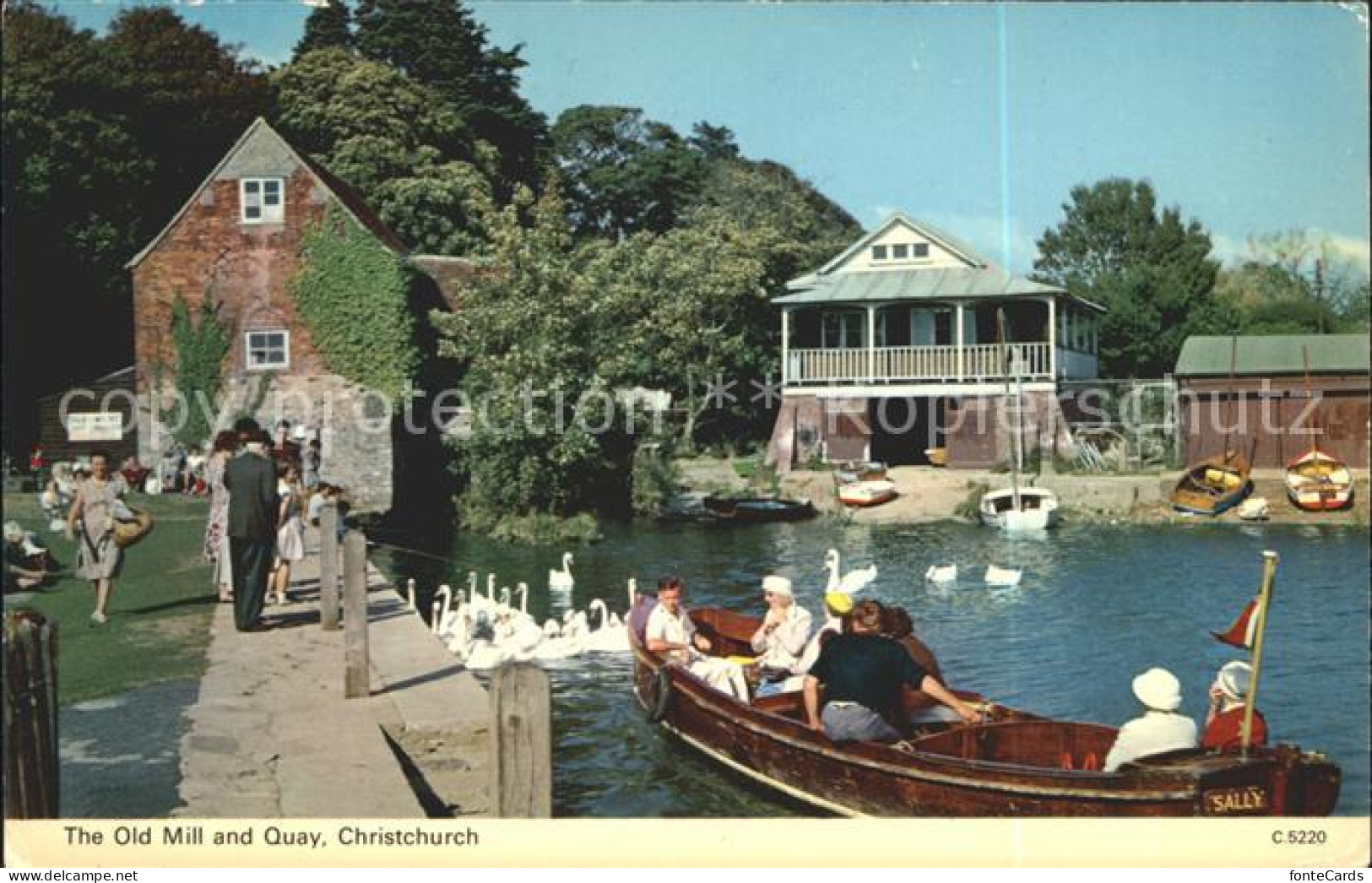 72033708 Christchurch Dorset 
Old Mill Quay Schwan  - Andere & Zonder Classificatie