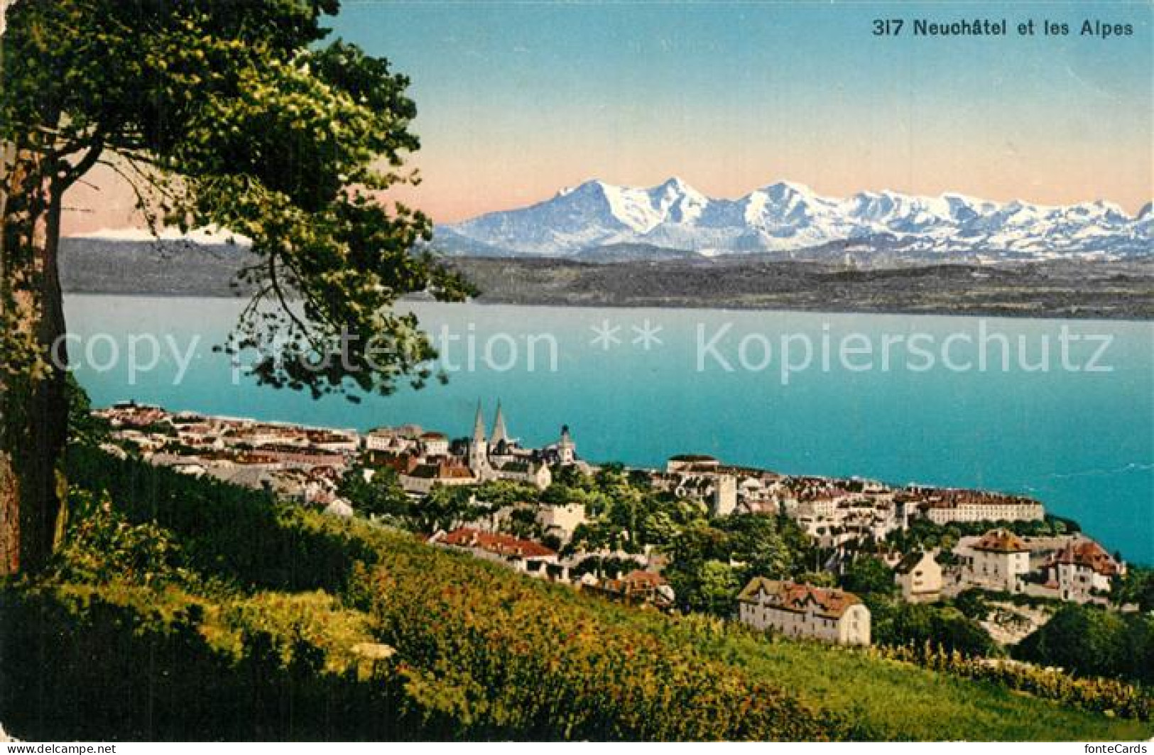 13561795 Neuchatel NE Panorama Alpen Neuchatel NE - Autres & Non Classés