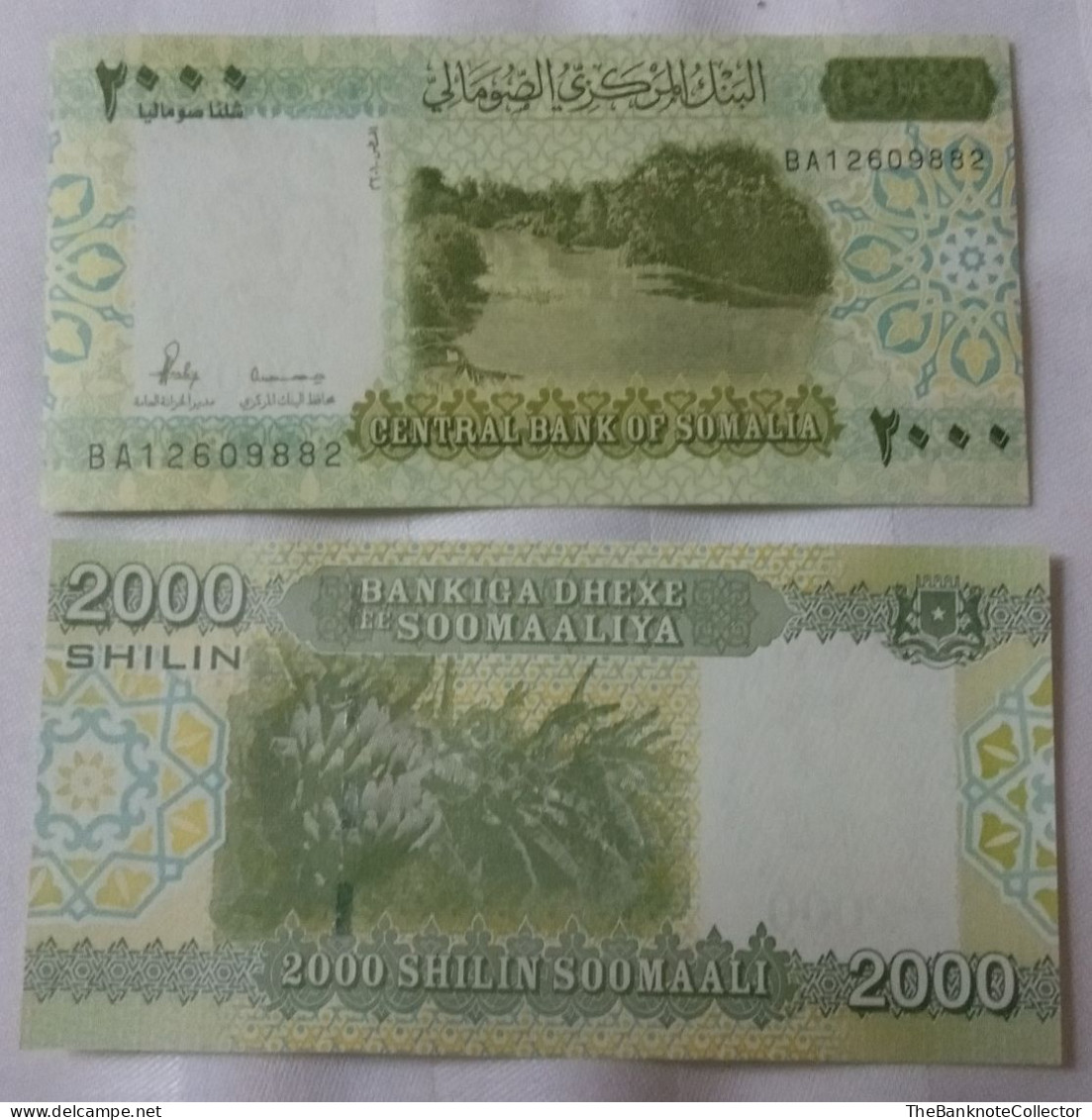 Somalia 2000-10000-20000-50000 Shillings 2023 Set UNC - Somalië