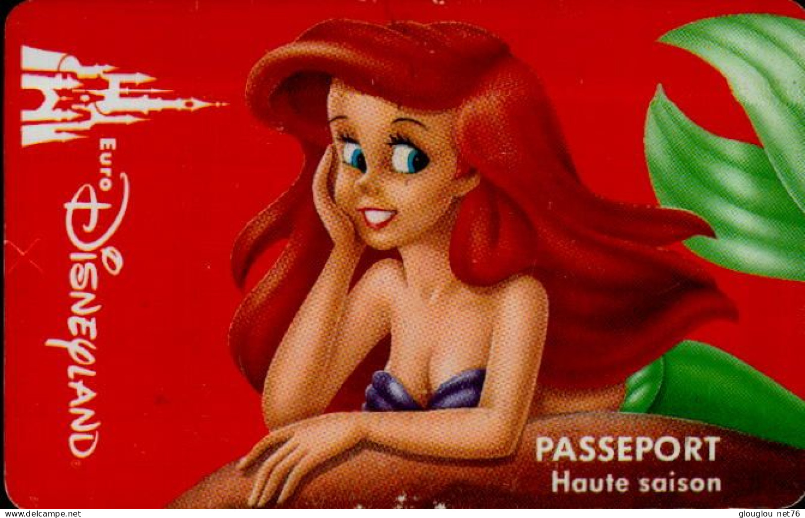 PASSEPORT DISNEY...HAUTE SAISON - Passaporti  Disney