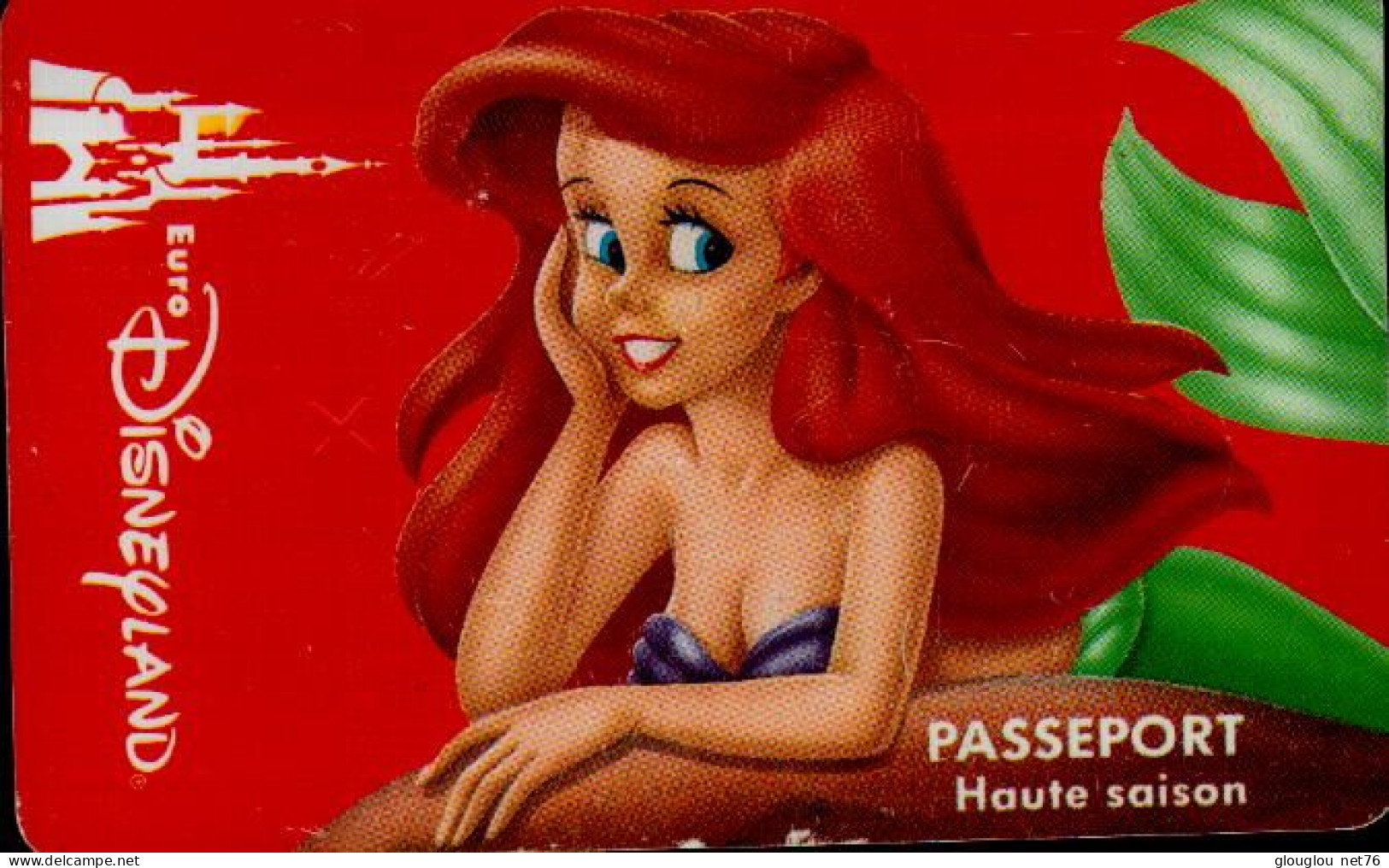 PASSEPORT DISNEY... HAUTE SAISON - Passaporti  Disney