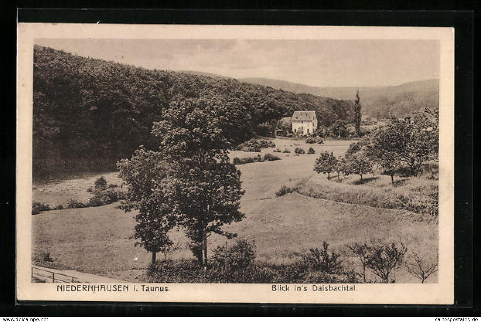 AK Niedernhausen I. Taunus, Blick In`s Daisbachtal  - Taunus