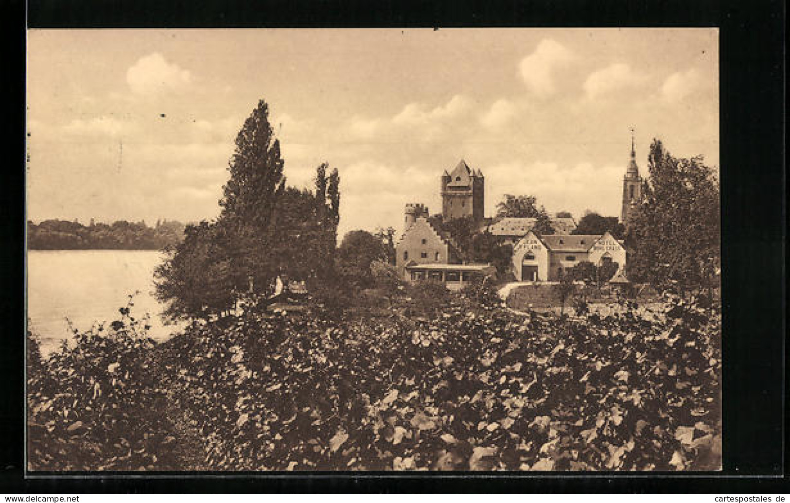 AK Eltville Im Rheingau, Blick Auf Die Burg Crass  - Rheingau