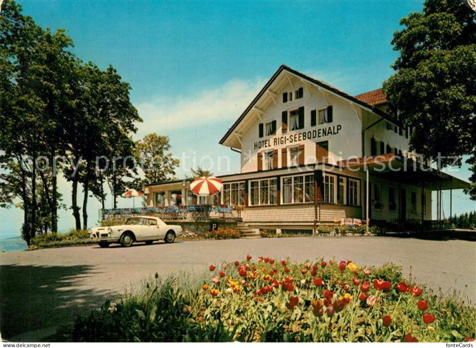13309735 Kuessnacht Hotel Rigi Seebodenalp Kuessnacht - Sonstige & Ohne Zuordnung