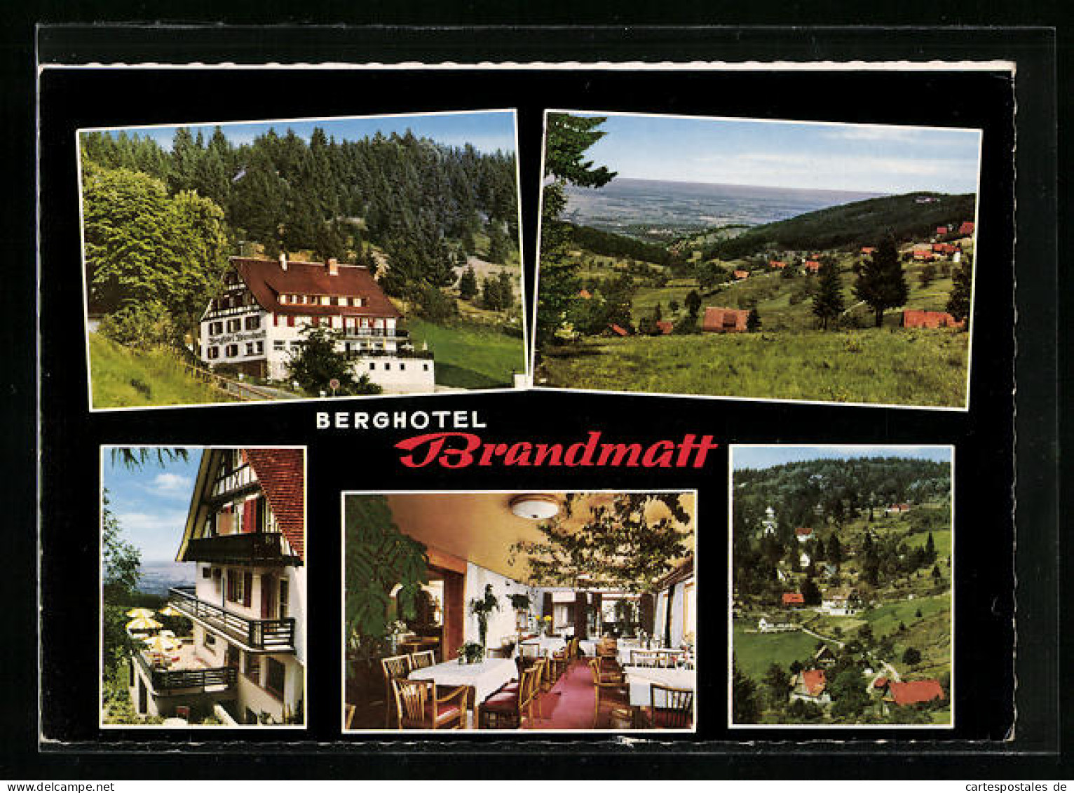 AK Sasbachwalden /Schwarzwald, Berghotel-Brandmatt, Inh. Albert Graber  - Sasbach