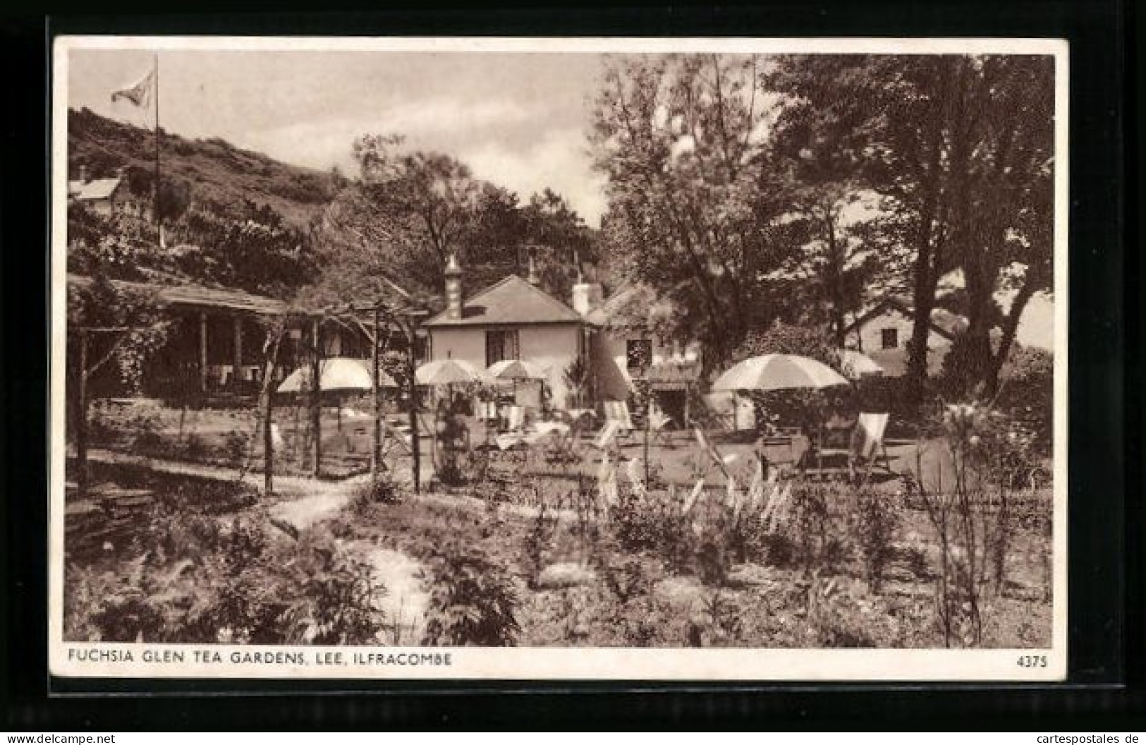 Pc Ilfracombe, Fuchsia Glen Tea Gardens, Lee  - Autres & Non Classés