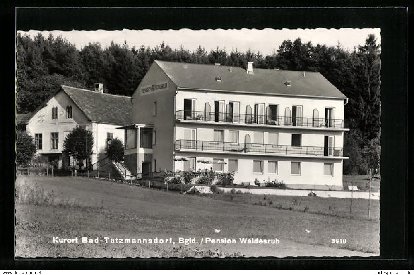 AK Bad Tatzmannsdorf, Hotel-Pension Waldesruh  - Altri & Non Classificati