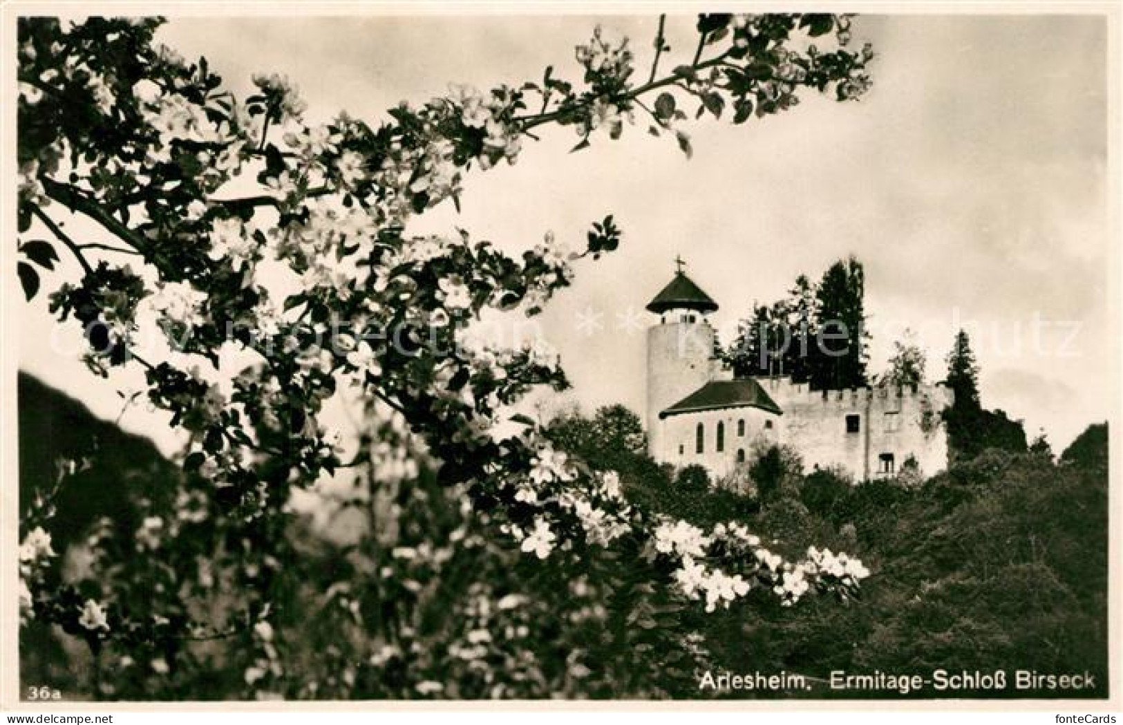 13205455 Arlesheim Ermitage Schloss Birseck Arlesheim - Sonstige & Ohne Zuordnung