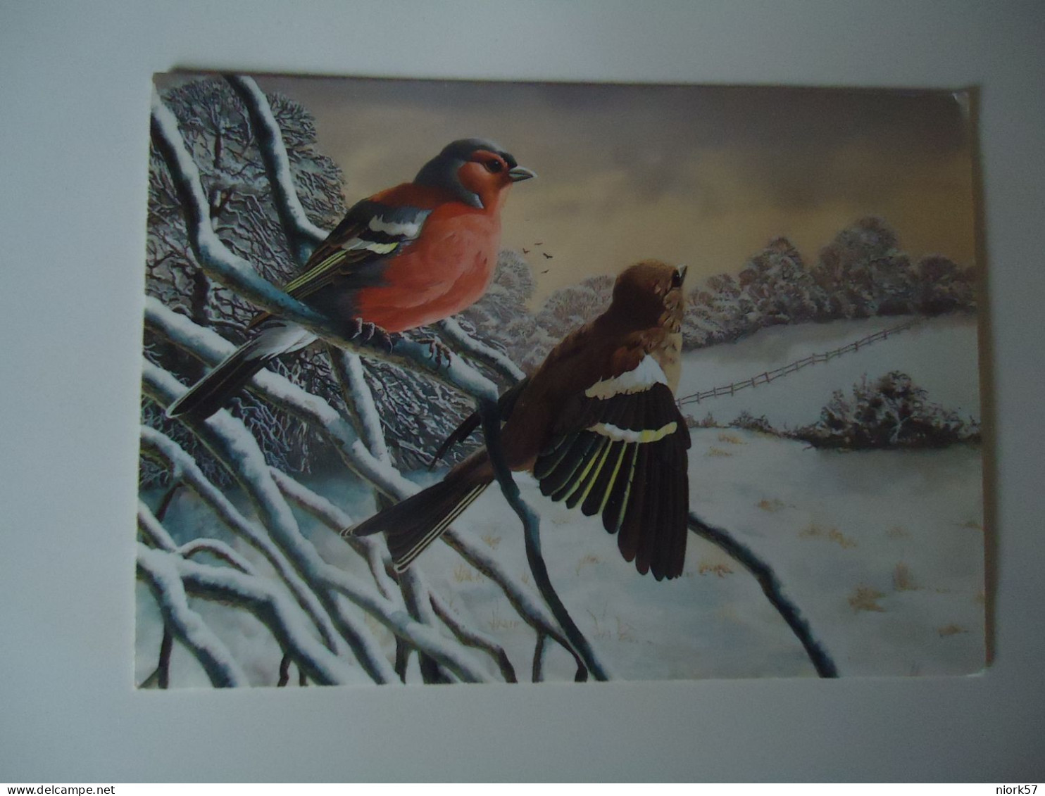 CANADA POSTCARDS   1975 GREETING  BIRD BIRDS   MORE  PURHASES 10% OFF - Oiseaux