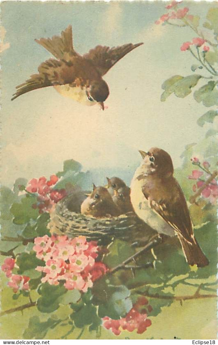 Illustration Theme Oiseaux Dans Un Nid Fleurs     Q 2594 - Oiseaux