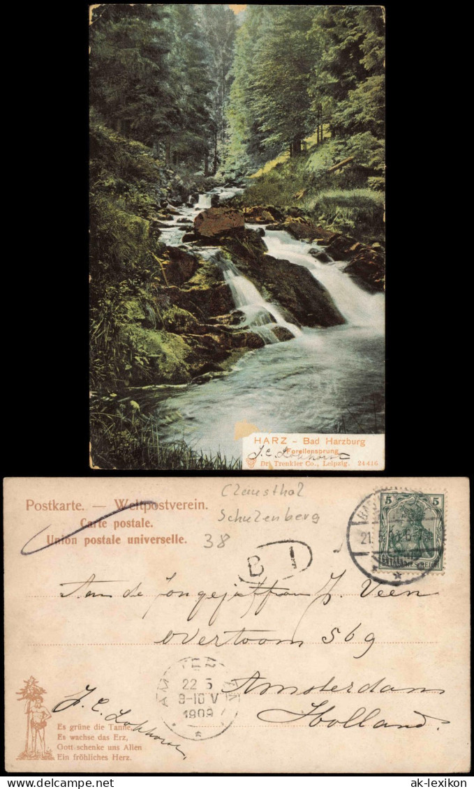 Ansichtskarte Bad Harzburg Forellensprung 1909 - Bad Harzburg