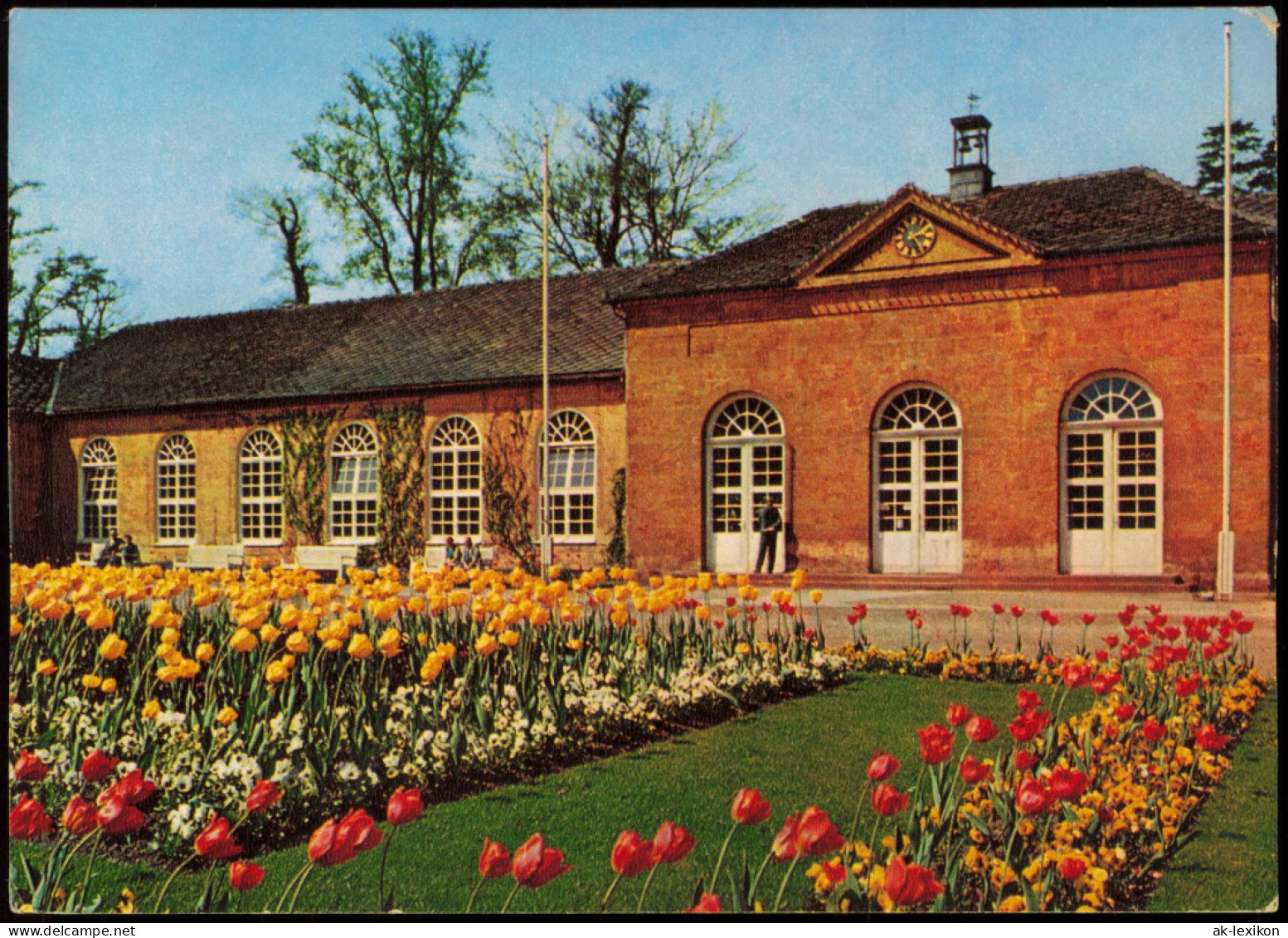 Ansichtskarte Bad Driburg Blumen Beet A.d. Wandelhalle 1970 - Bad Driburg