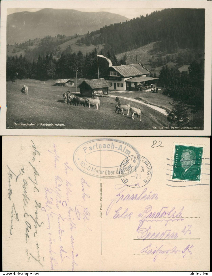 Ansichtskarte Garmisch-Partenkirchen Partnachalm - Kühe 1931 - Garmisch-Partenkirchen