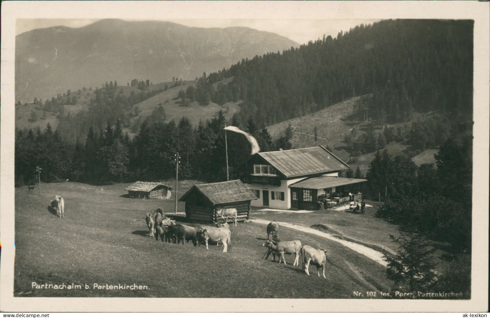 Ansichtskarte Garmisch-Partenkirchen Partnachalm - Kühe 1931 - Garmisch-Partenkirchen