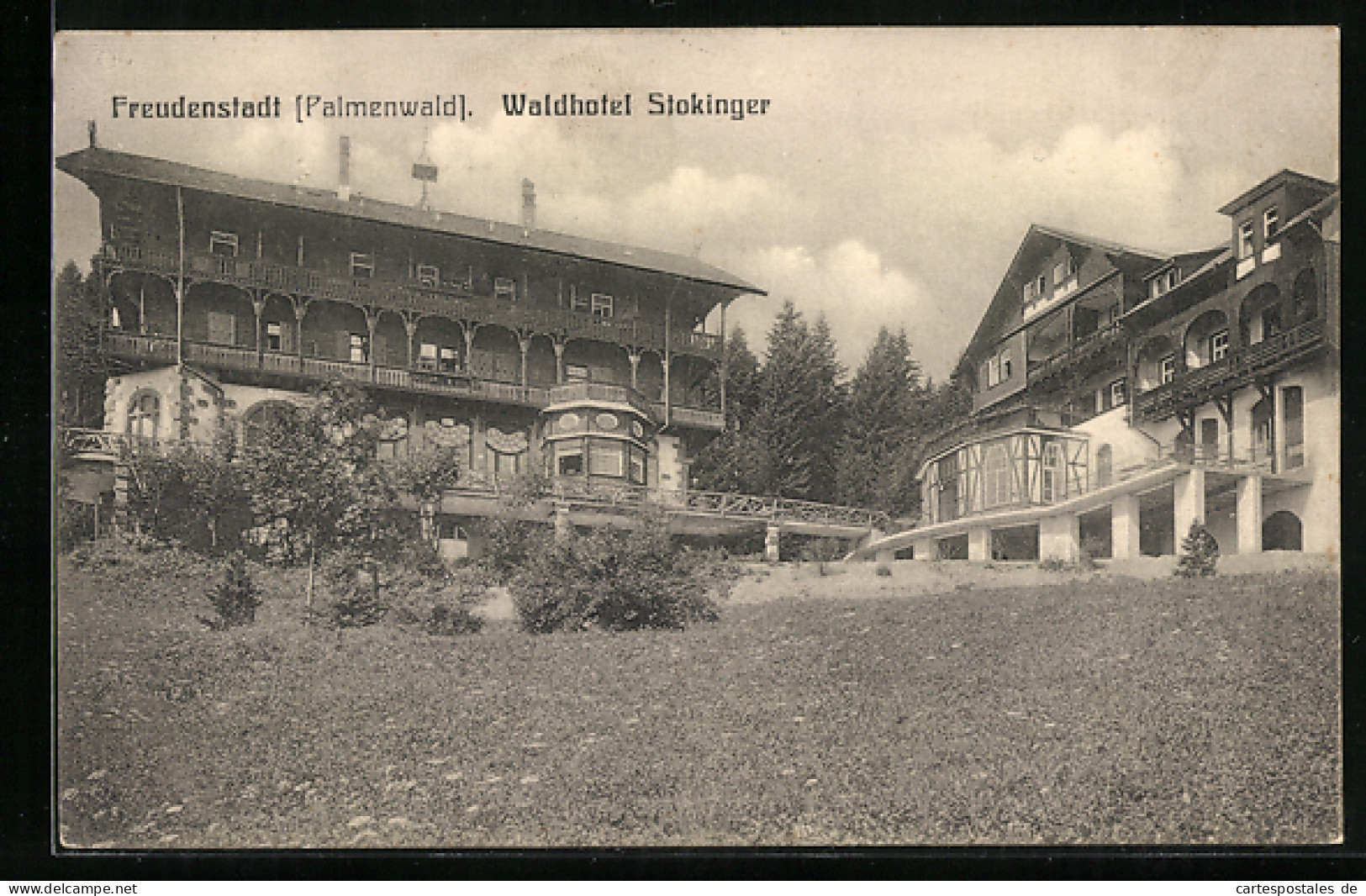 AK Freudenstadt /Palmenwald, Waldhotel Stokinger  - Freudenstadt