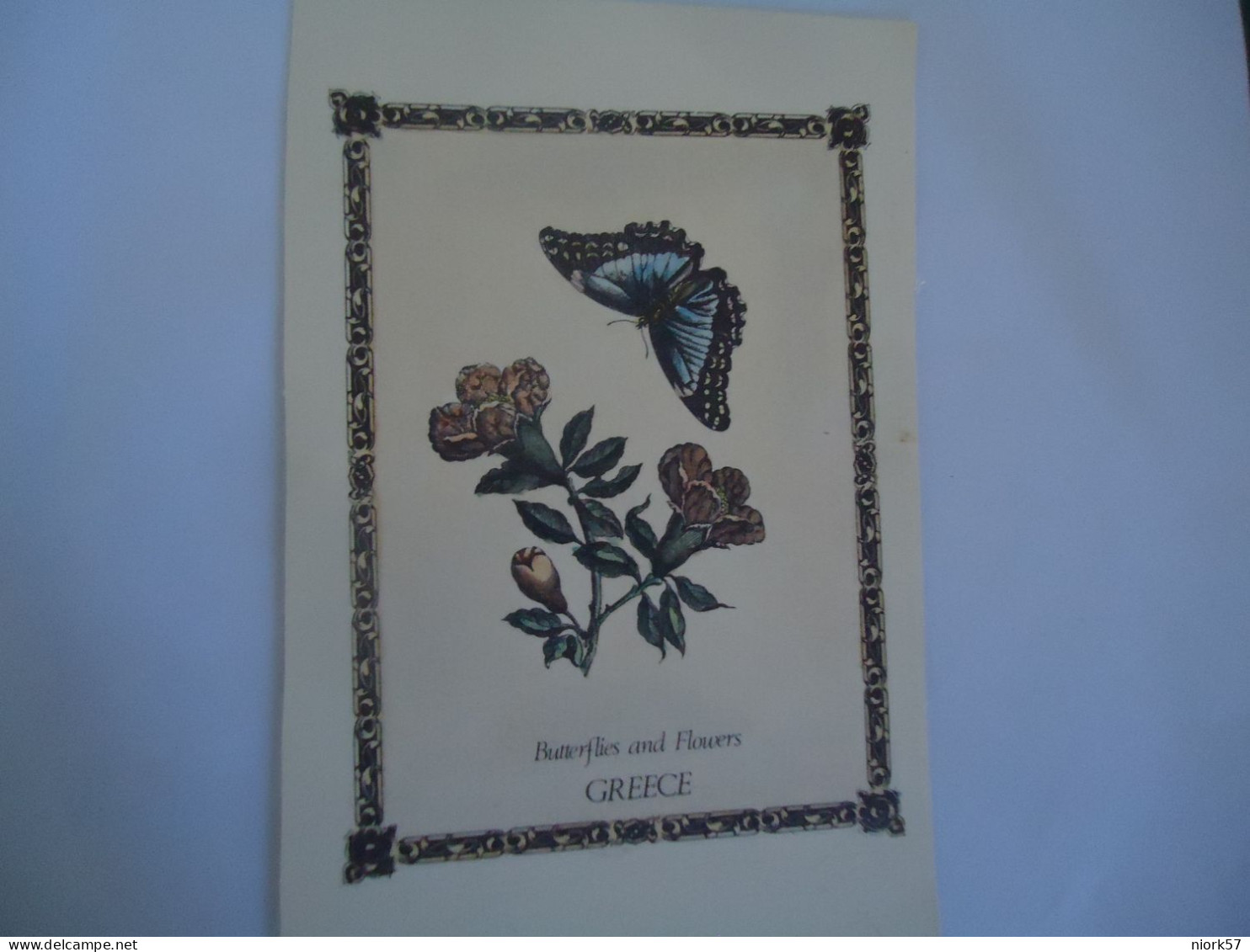 GREECE   POSTCARDS   BUTTTERFLIES AND FLOWERS MORE    PURHASES 10% DISCOUNT - Papillons