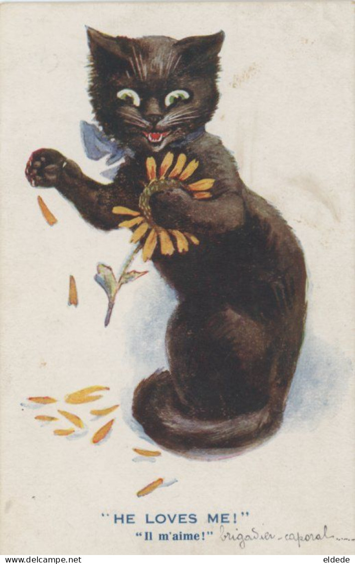 Human Black Cat Playing With Sunflower . Chat Noir Et Fleur Tournesol - Gekleidete Tiere