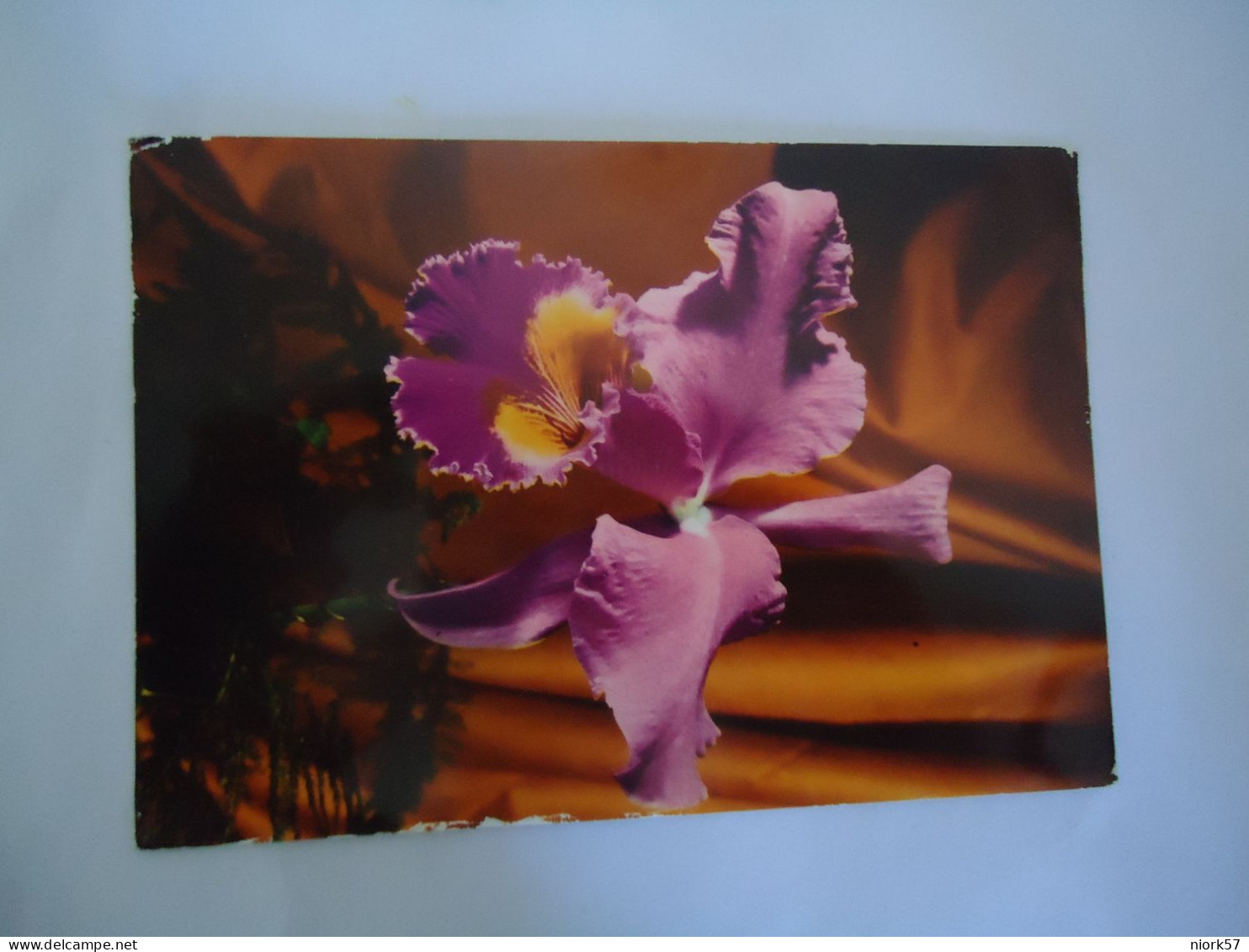 ITALY   POSTCARDS   ORCHID FLOWERS      MORE  PURHASES 10% DISCOUNT - Blumen