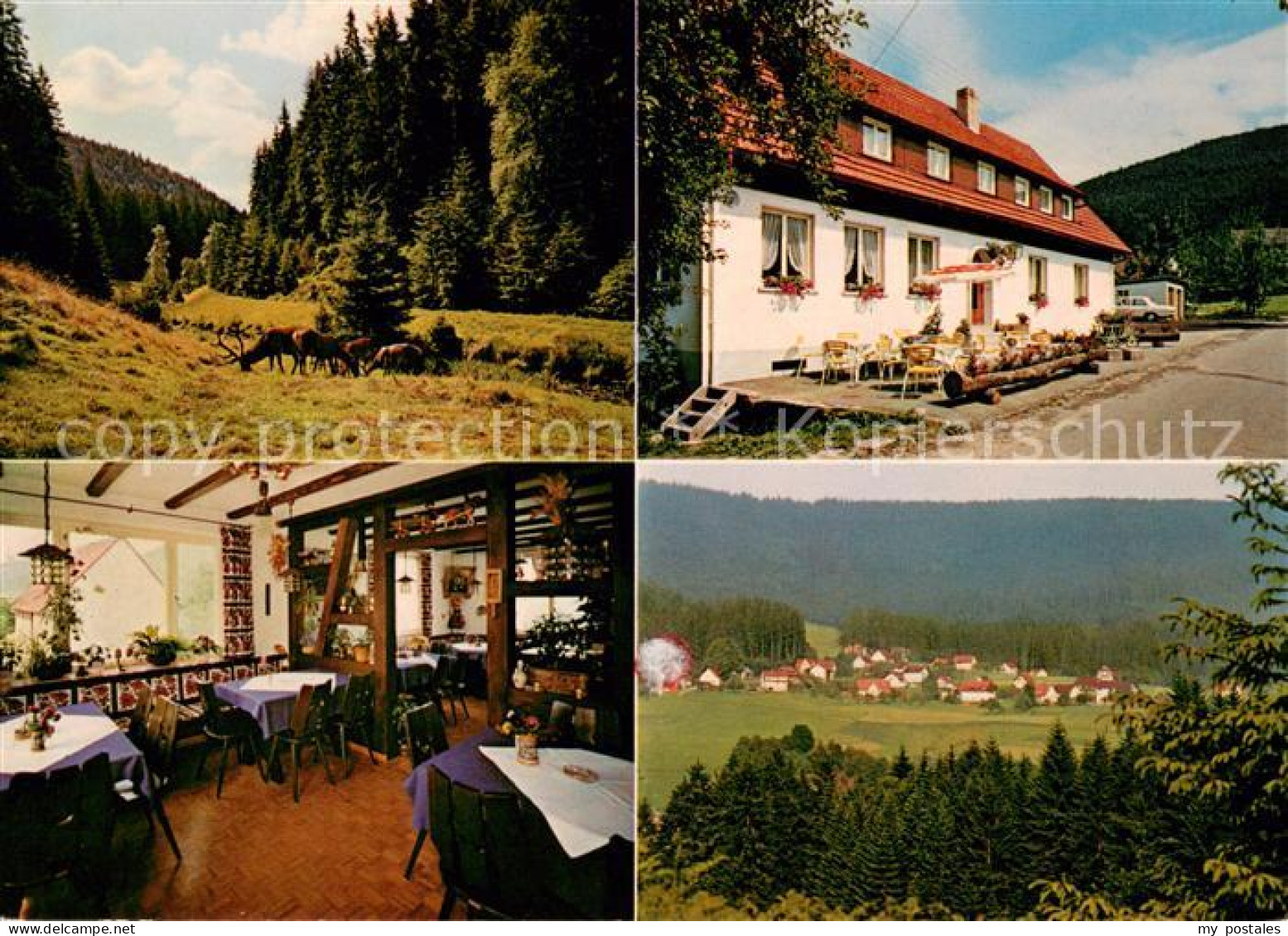 73644348 Schoenegruend Pension Vergiss Mein Nicht Landschaftspanorama Schwarzwal - Baiersbronn