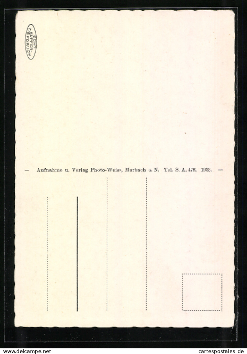 AK Marbach A. N., Torturm, Sattlerwaren Oskar Hamer  - Marbach