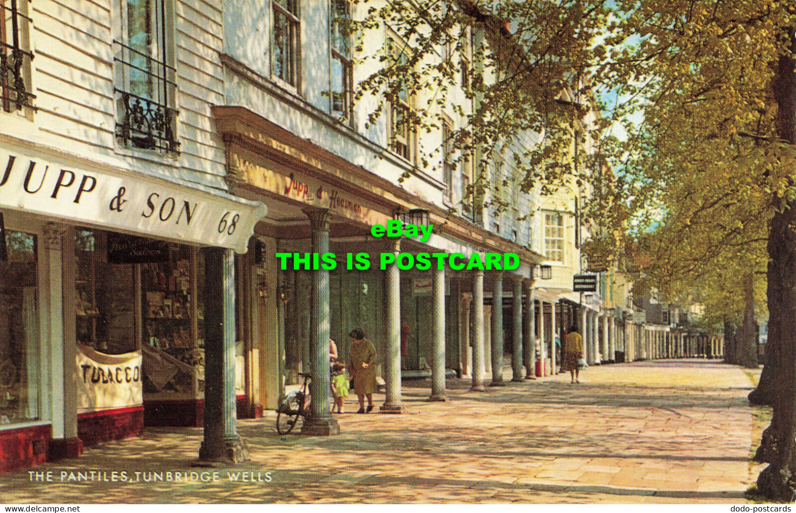 R580604 Tunbridge Wells. The Pantiles. J. Salmon. Cameracolour - World