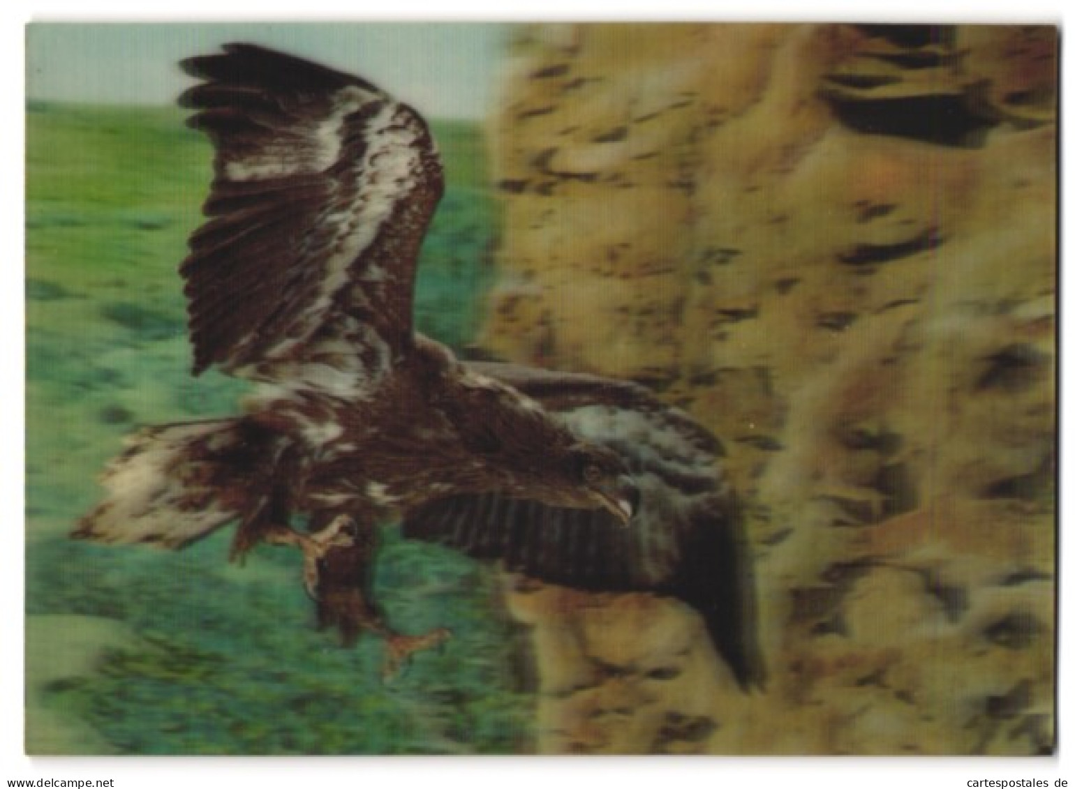 3D-AK Eagle, Adler Mit Gespreizten Fängen Im Anflug  - Photographie