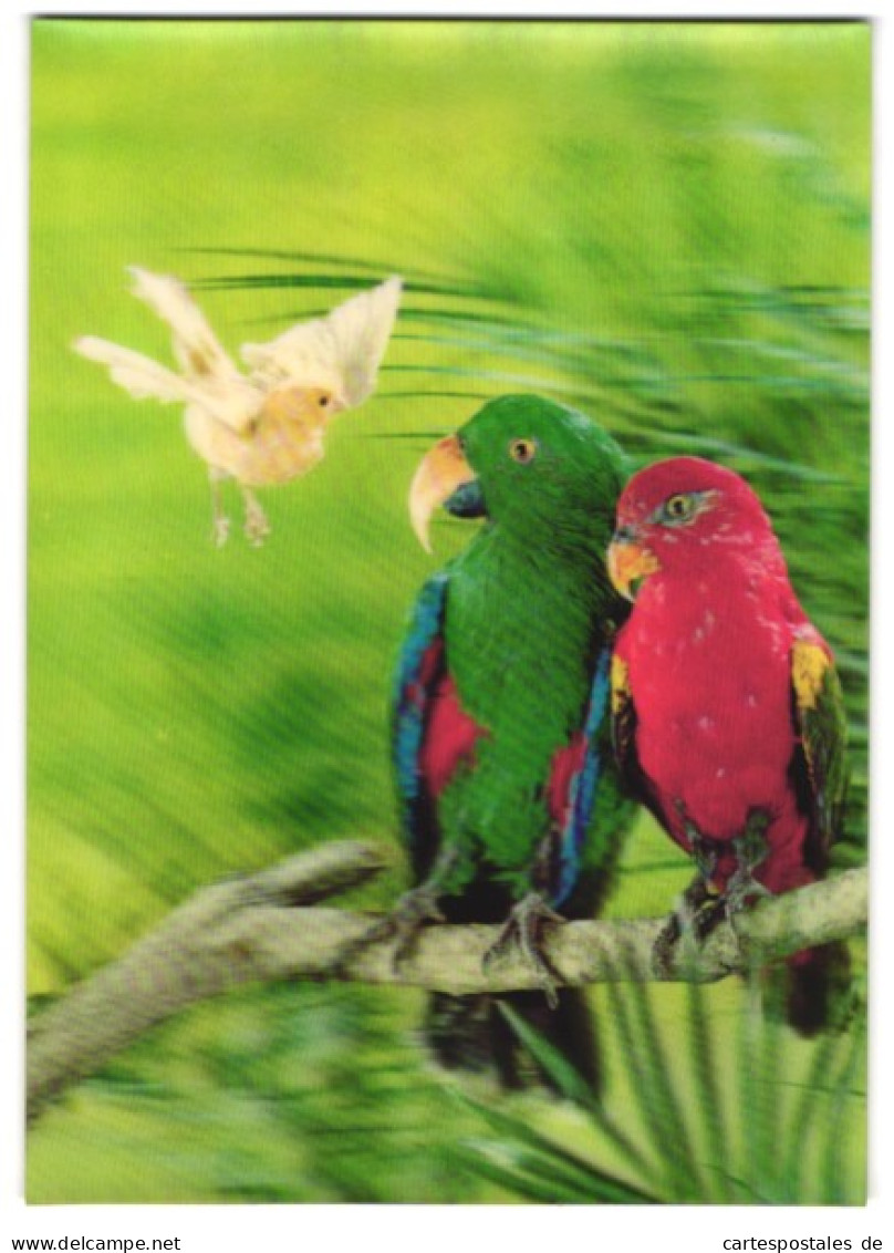 3D-AK Papageien-Paar Mit Kanarienvogel  - Fotografie