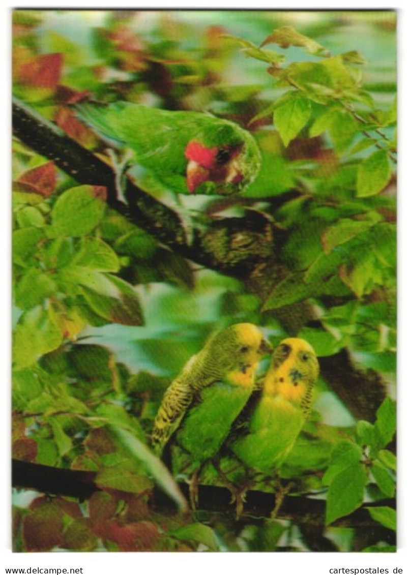 3D-AK Wellensittiche Und Papagei Auf Einem Baum  - Fotografie