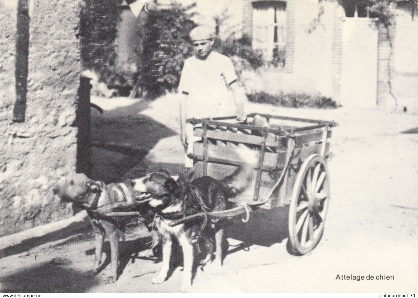 MARCHAND AMBULANT   ATTELAGE DE CHIEN - Street Merchants