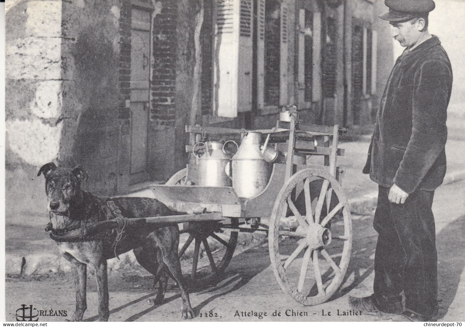 MARCHAND AMBULANT   ATTELAGE DE CHIEN - Street Merchants