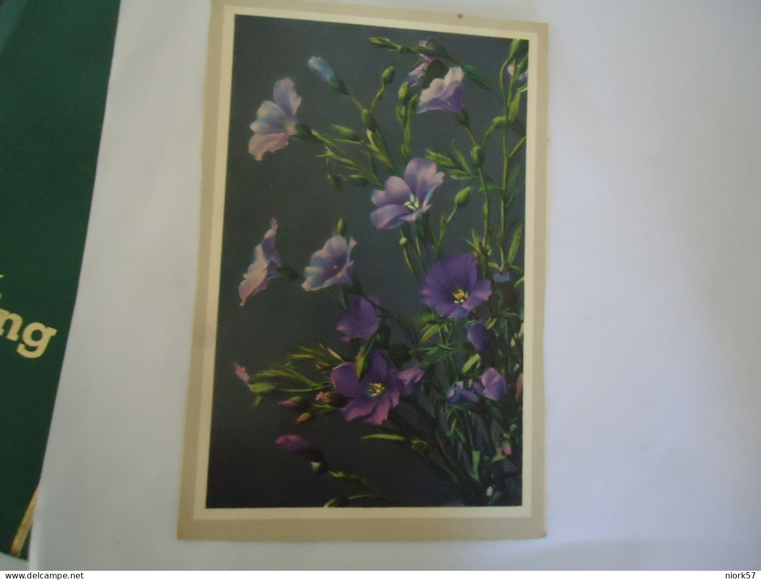 SWITZERLAND   POSTCARDS LINUM  ALPIS  FLOWERS   MORE PURHASES 10% DISCOUNT - Other & Unclassified