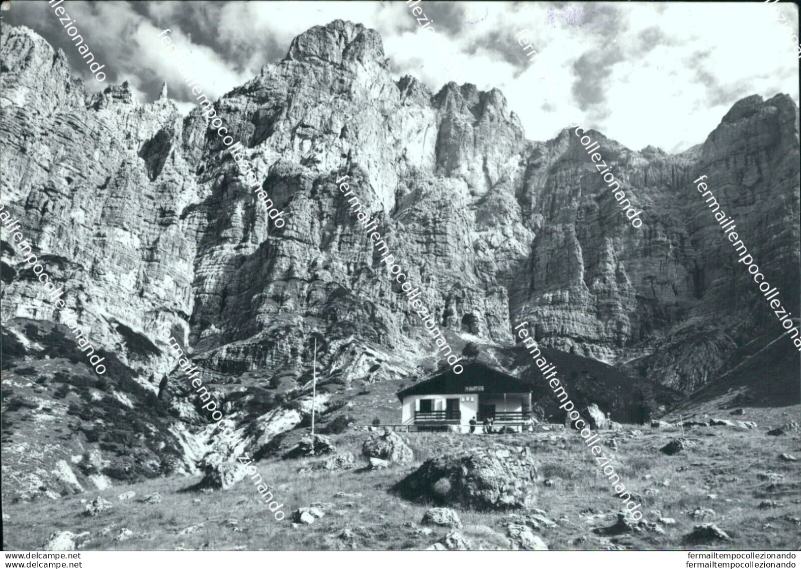 Bi525 Cartolina Dintorni Di Belluno Rifugio 7 Alpini - Belluno