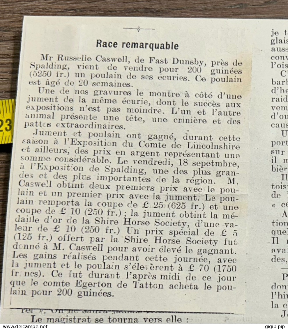1908 PATI REMARQUABLES DE LA RACE CHEVALINE Jument Et Poulain Russelle Caswell Fast Dunsby, - Verzamelingen