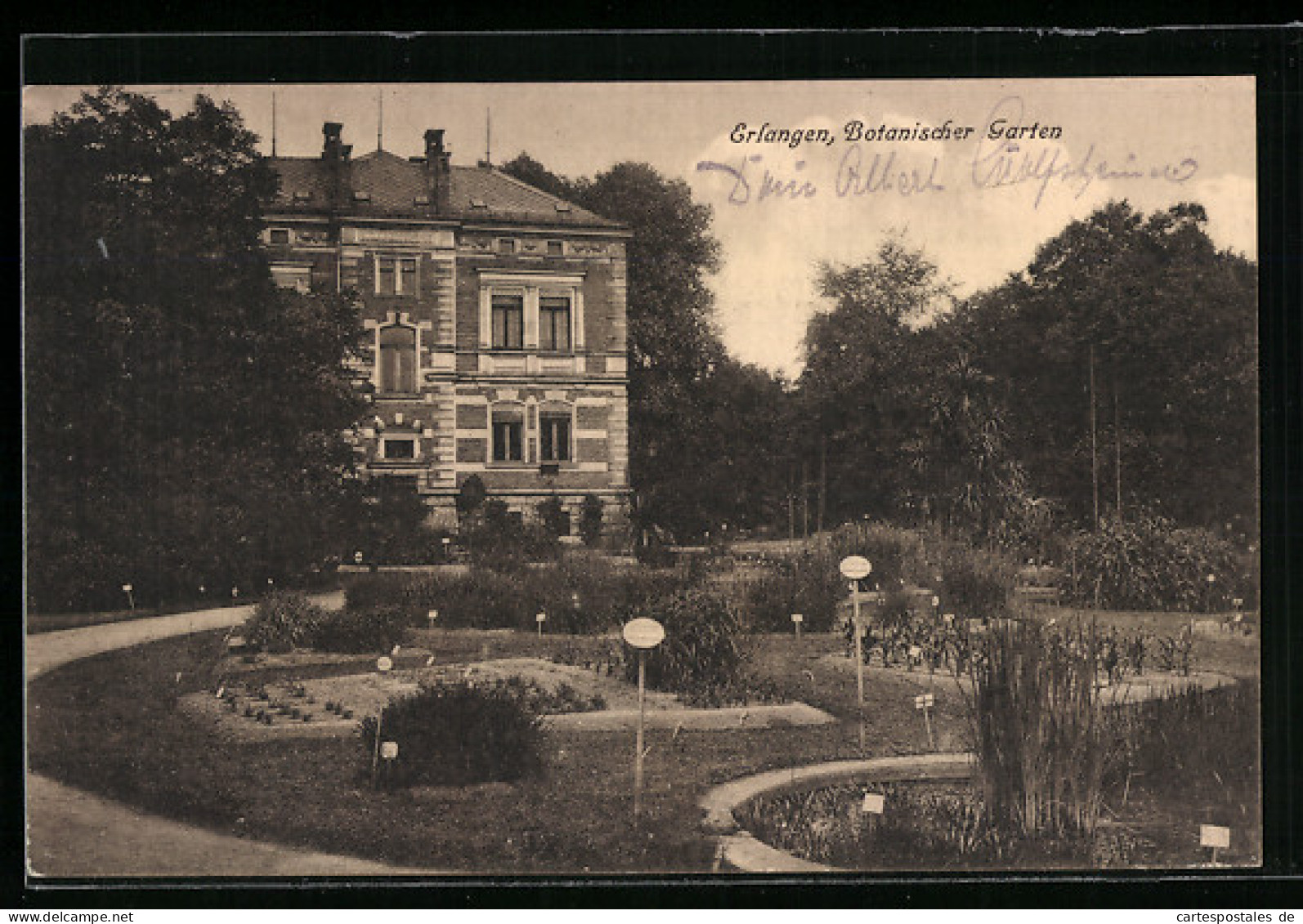 AK Erlangen, Botanischer Garten  - Erlangen