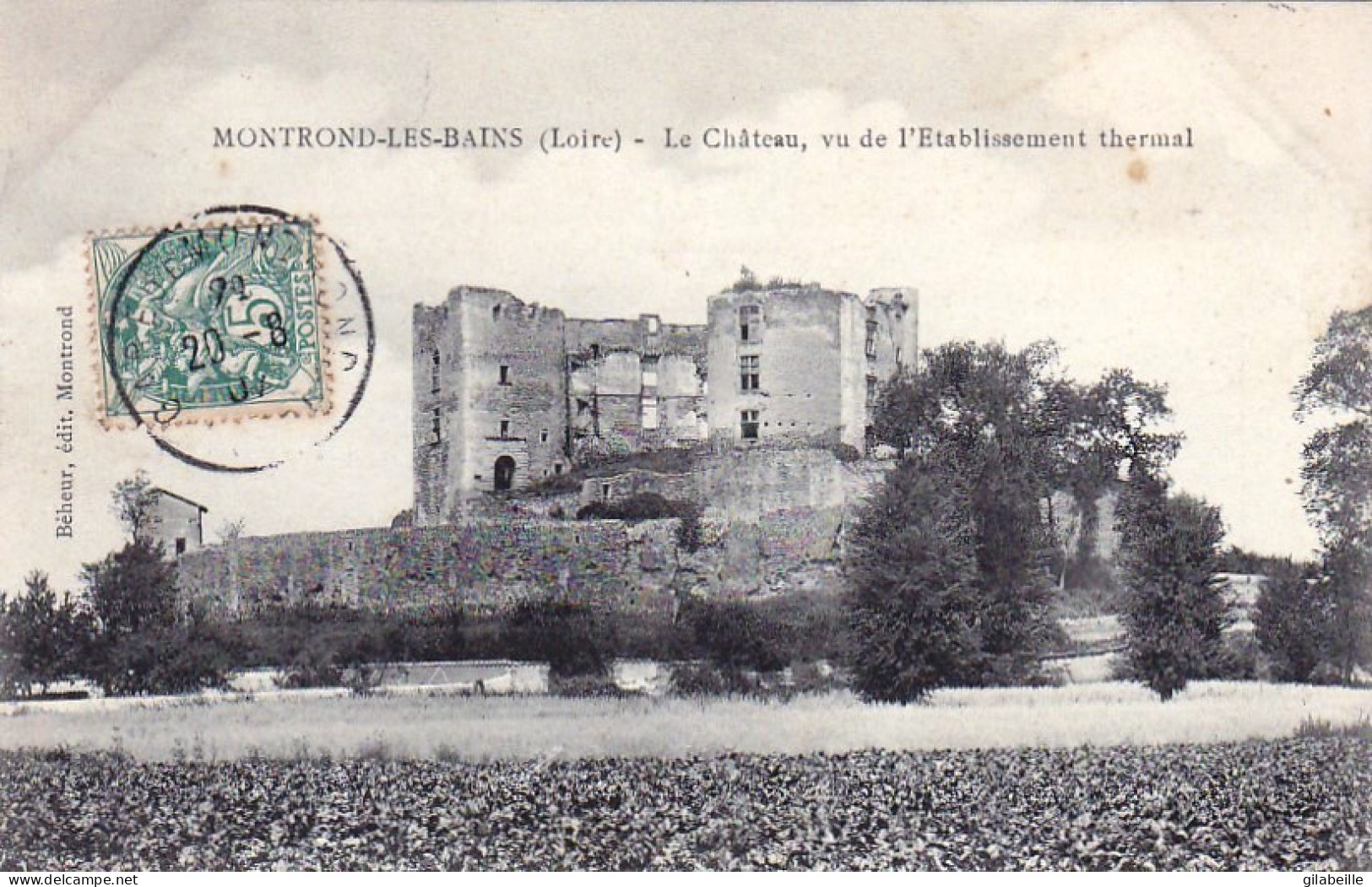 42 - Loire -  MONTROND Les BAINS - Le Chateau Vu De L'établissement Thermal - Sonstige & Ohne Zuordnung