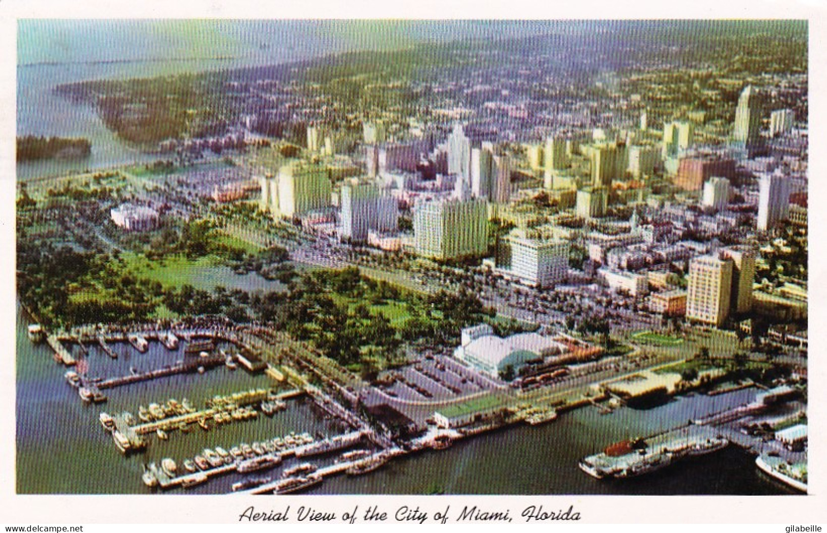 Aerial View Of The City Of MIAMI - 1961 - Miami