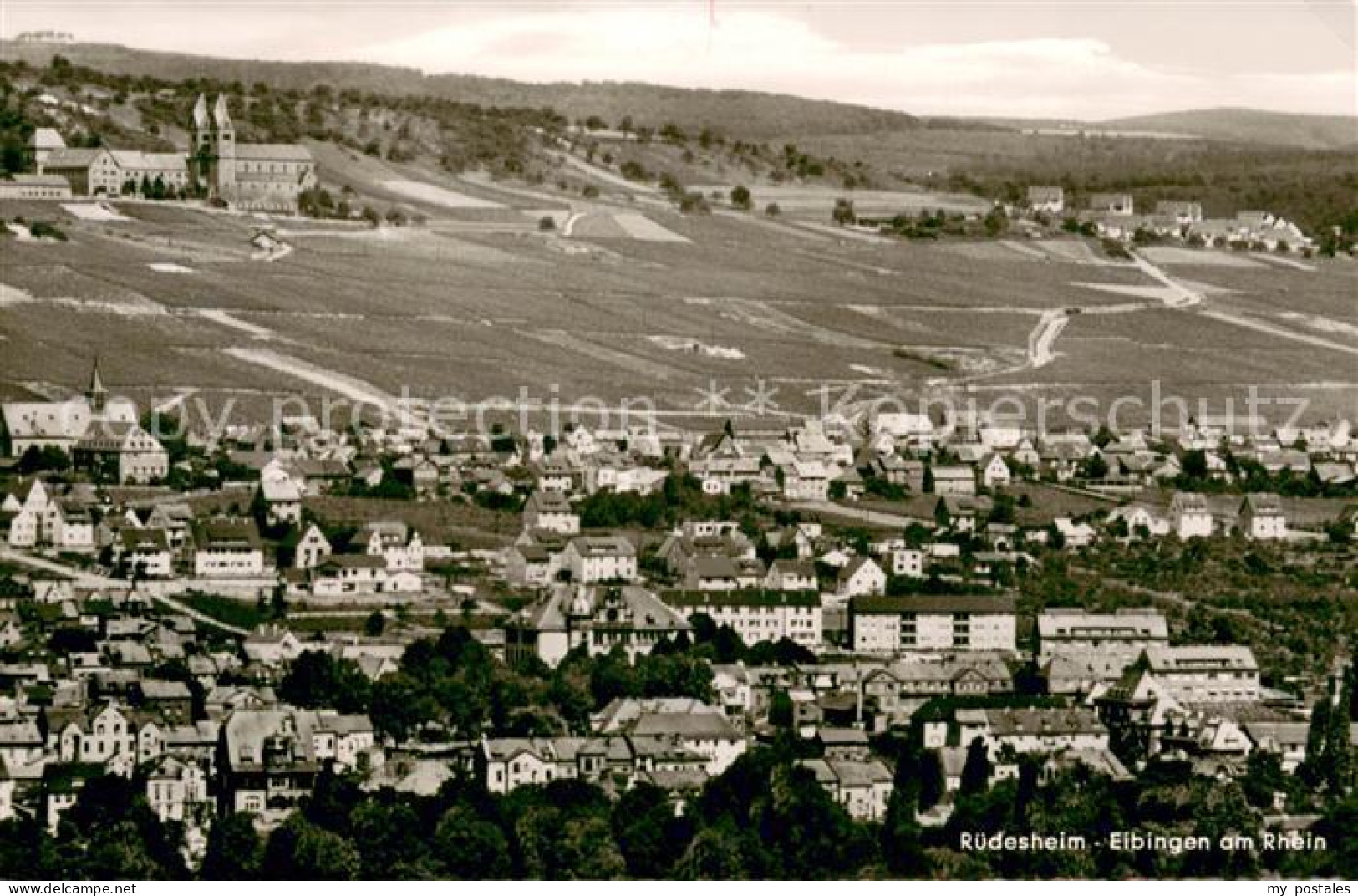 73643161 Eibingen Panorama Eibingen - Ruedesheim A. Rh.