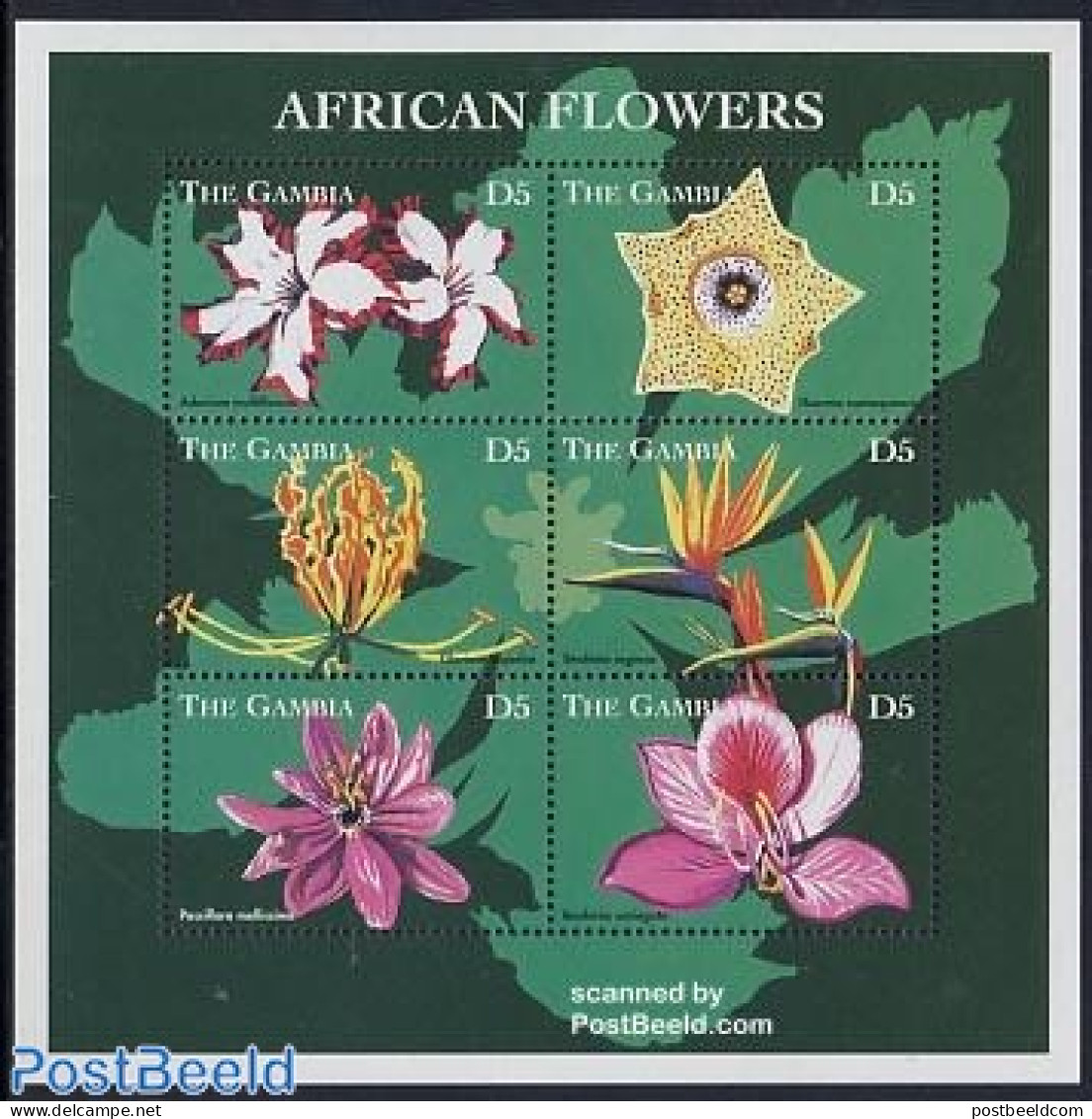 Gambia 1998 African Flowers 6v M/s, Mint NH, Nature - Flowers & Plants - Gambie (...-1964)