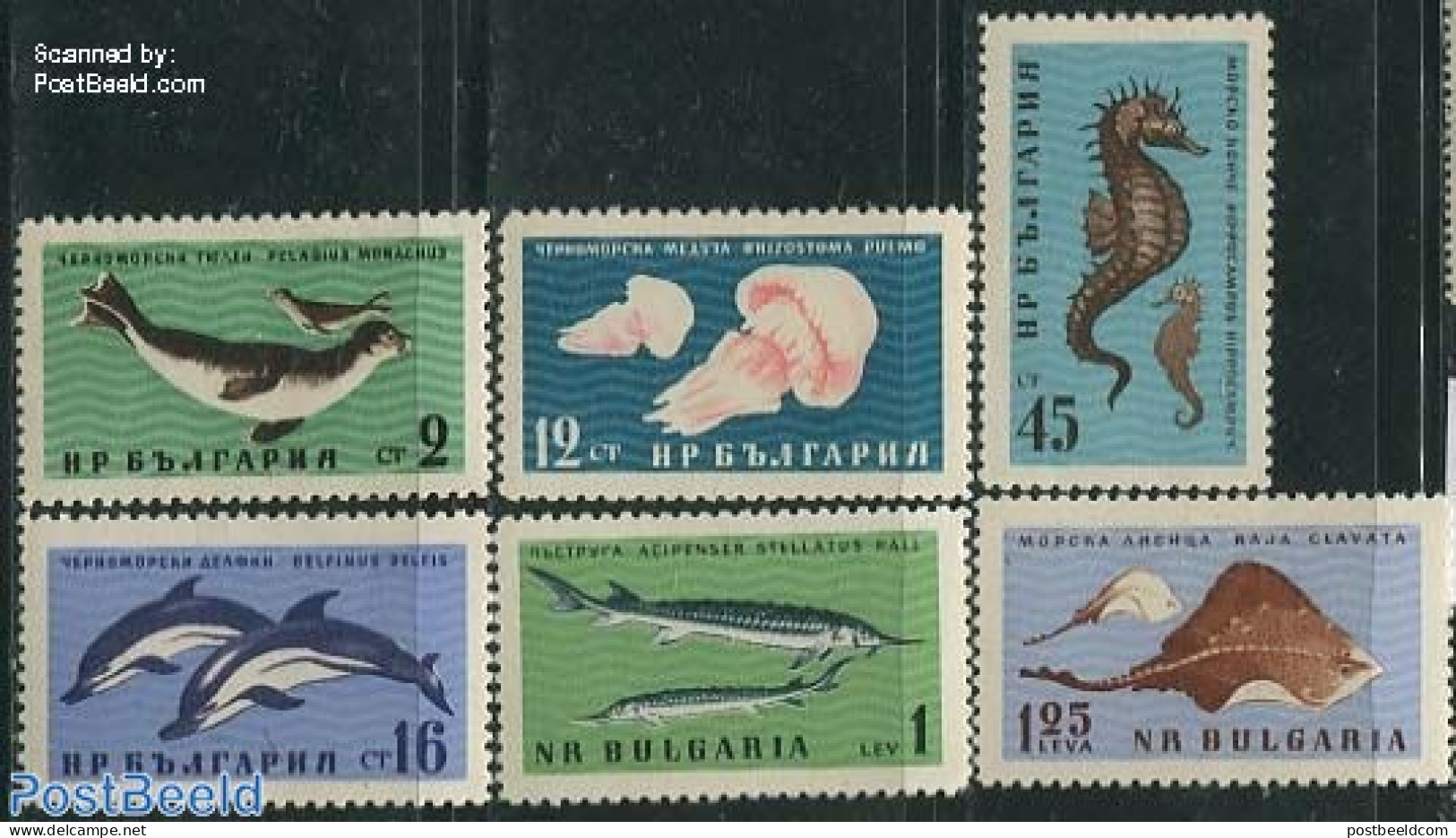 Bulgaria 1961 Black Sea Animals 6v, Mint NH, Nature - Fish - Sea Mammals - Ungebraucht