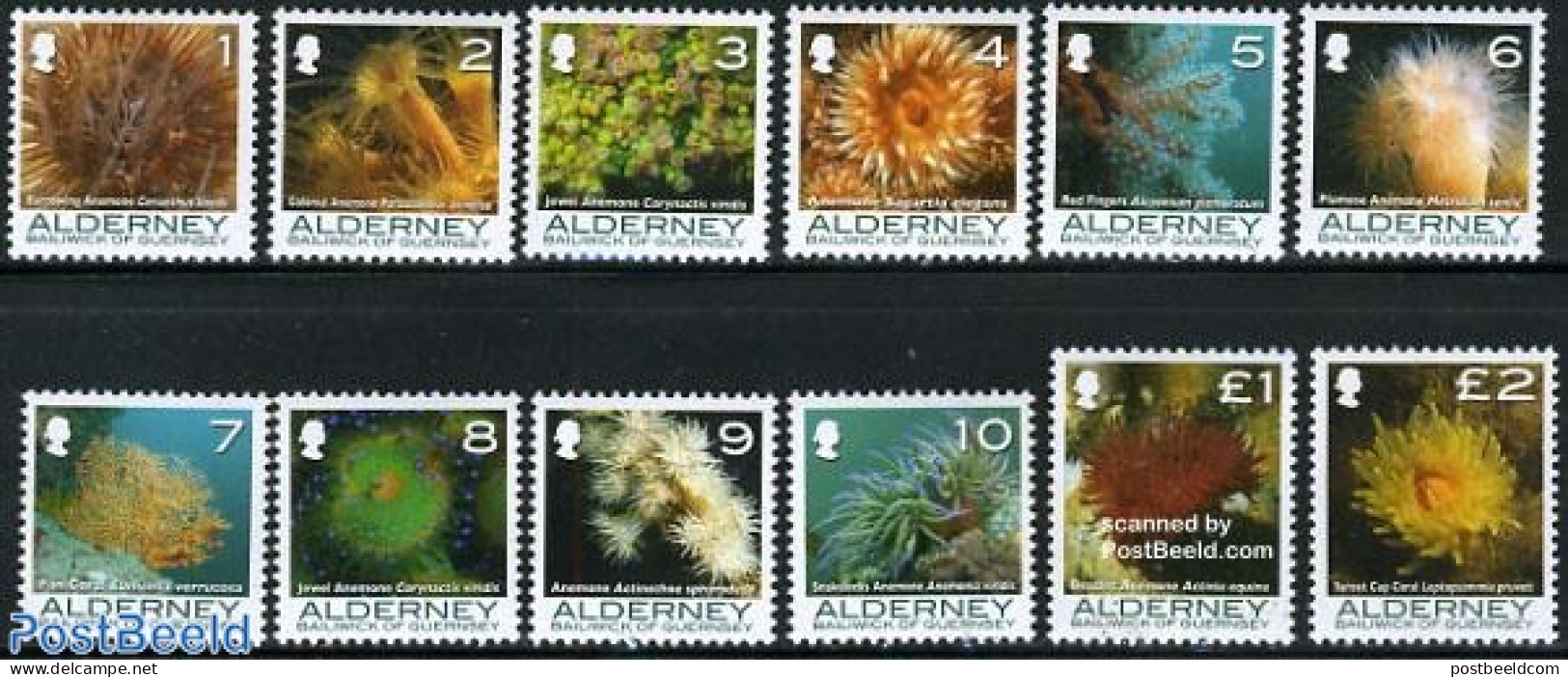 Alderney 2006 Definitives, Coral And Anemones 12v, Mint NH, Nature - Alderney